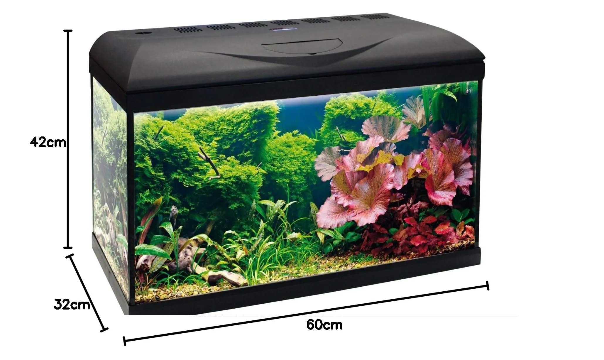 Amtra Basic 60 LED - Acquario completo di 55 litri, illuminazione 8 watt, filtro interno , 60x32x42 cm - immagine 2