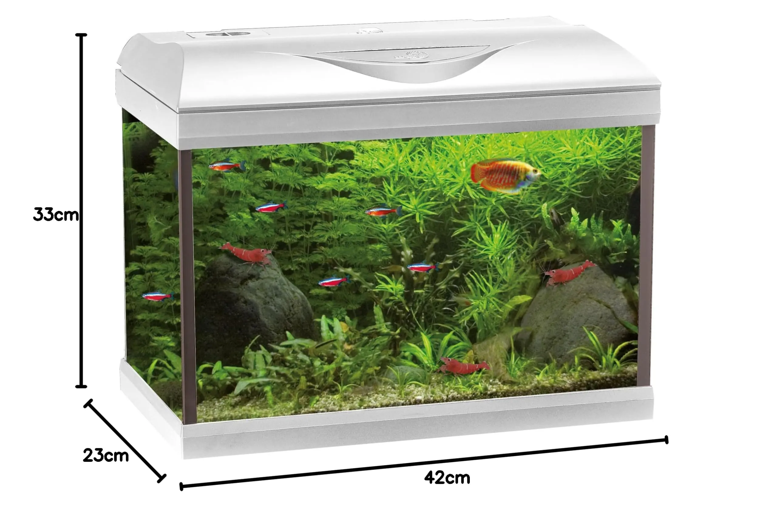 Amtra Wave A2001615 Acquario Riviera 40 LED Coldwater - immagine 3