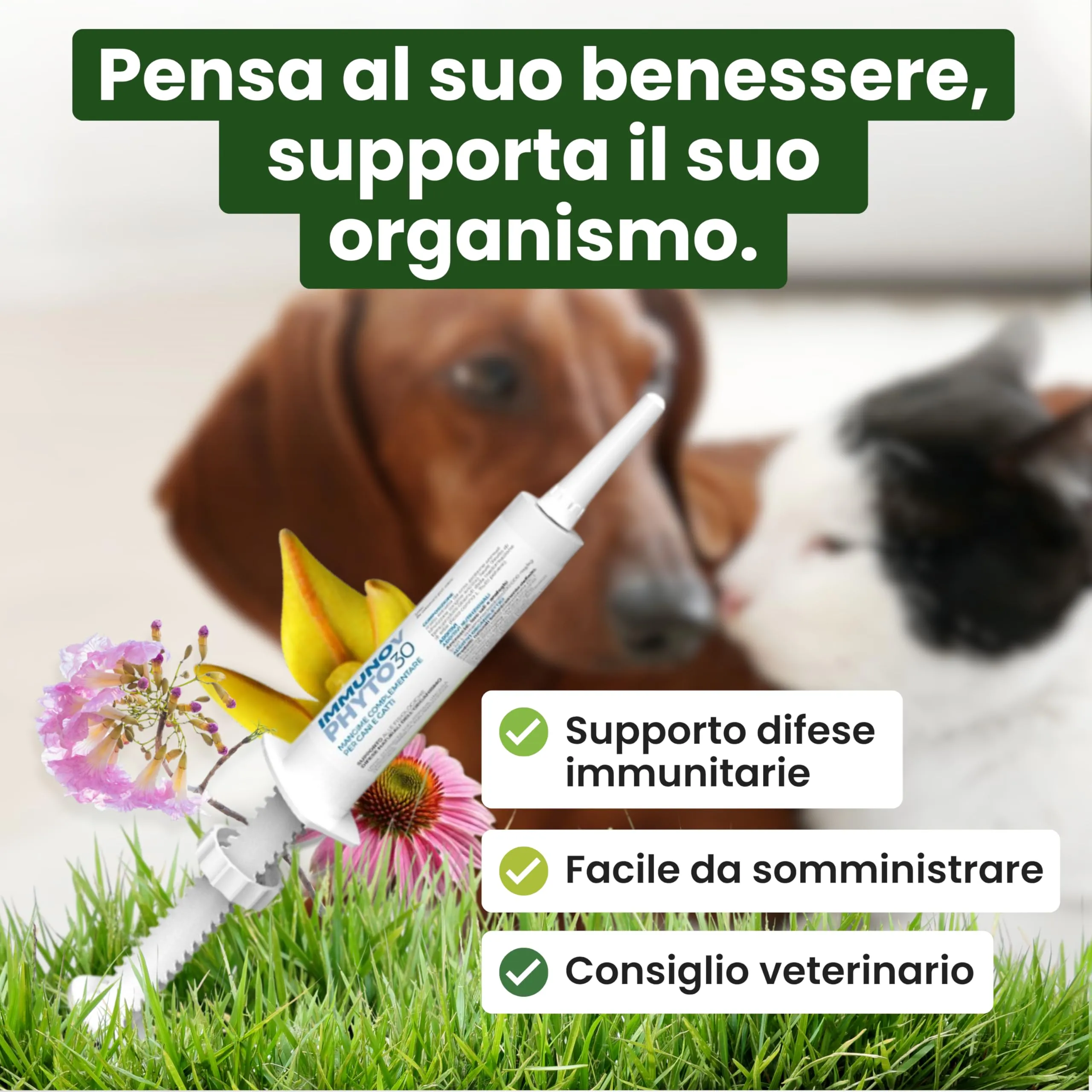Trebifarma Immunov Phyto Pasta 30g per Difese Immunitarie di Cani e Gatti - immagine 2