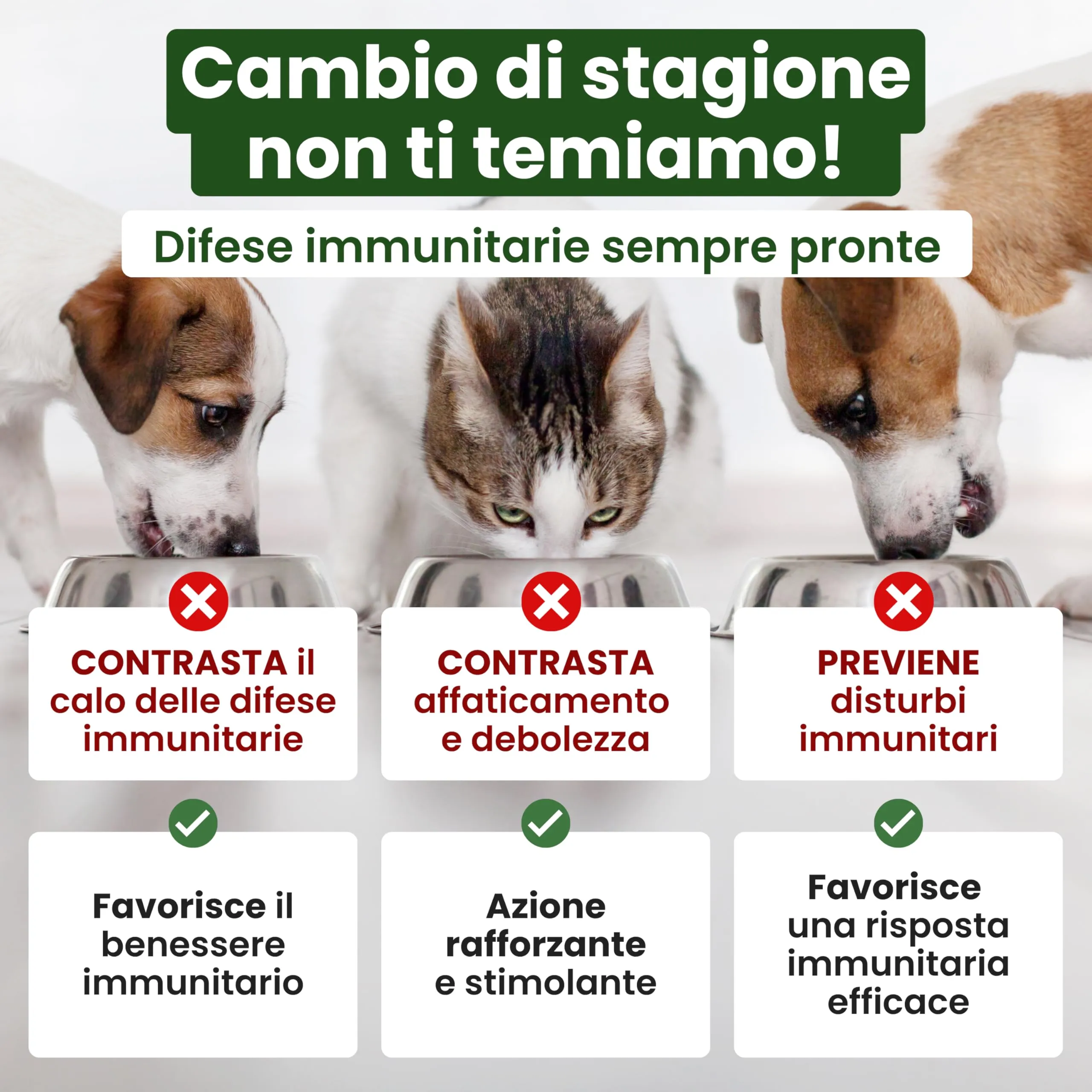 Trebifarma Immunov Phyto Pasta 30g per Difese Immunitarie di Cani e Gatti - immagine 3