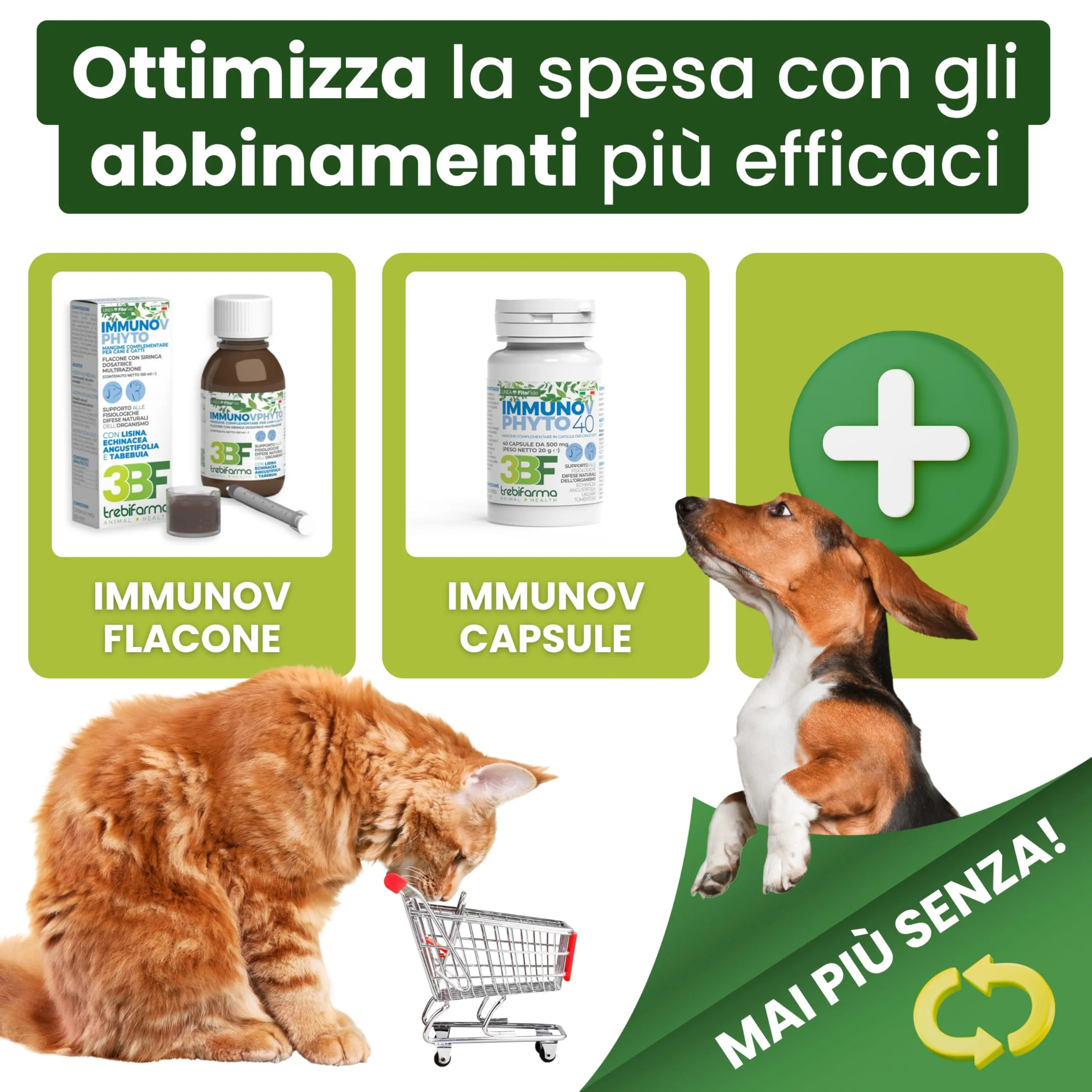 Trebifarma Immunov Phyto Pasta 30g per Difese Immunitarie di Cani e Gatti - immagine 6