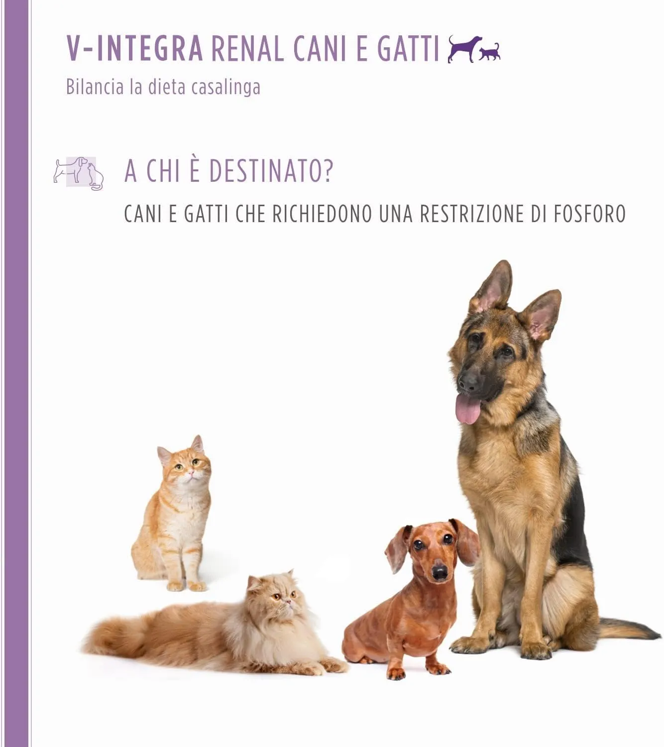 V-INTEGRA Renal 200g, Integratore Vitamine e Minerali per Bilanciare Diete Casalinghe di Cani e Gatti che Richiedono una Restrizione di Fosforo, Multivitaminico Cane e Gatto Made in Italy - immagine 3
