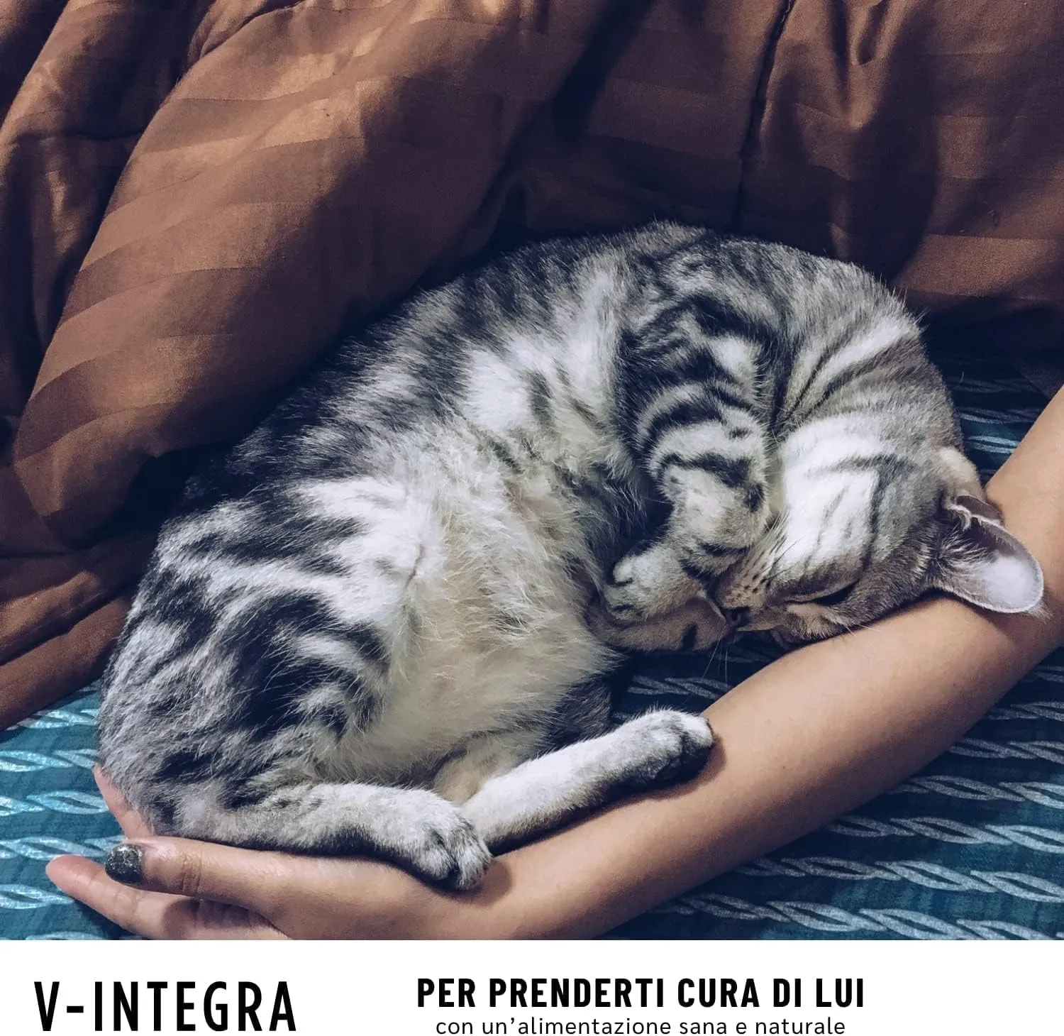 V-INTEGRA Renal 200g, Integratore Vitamine e Minerali per Bilanciare Diete Casalinghe di Cani e Gatti che Richiedono una Restrizione di Fosforo, Multivitaminico Cane e Gatto Made in Italy - immagine 8
