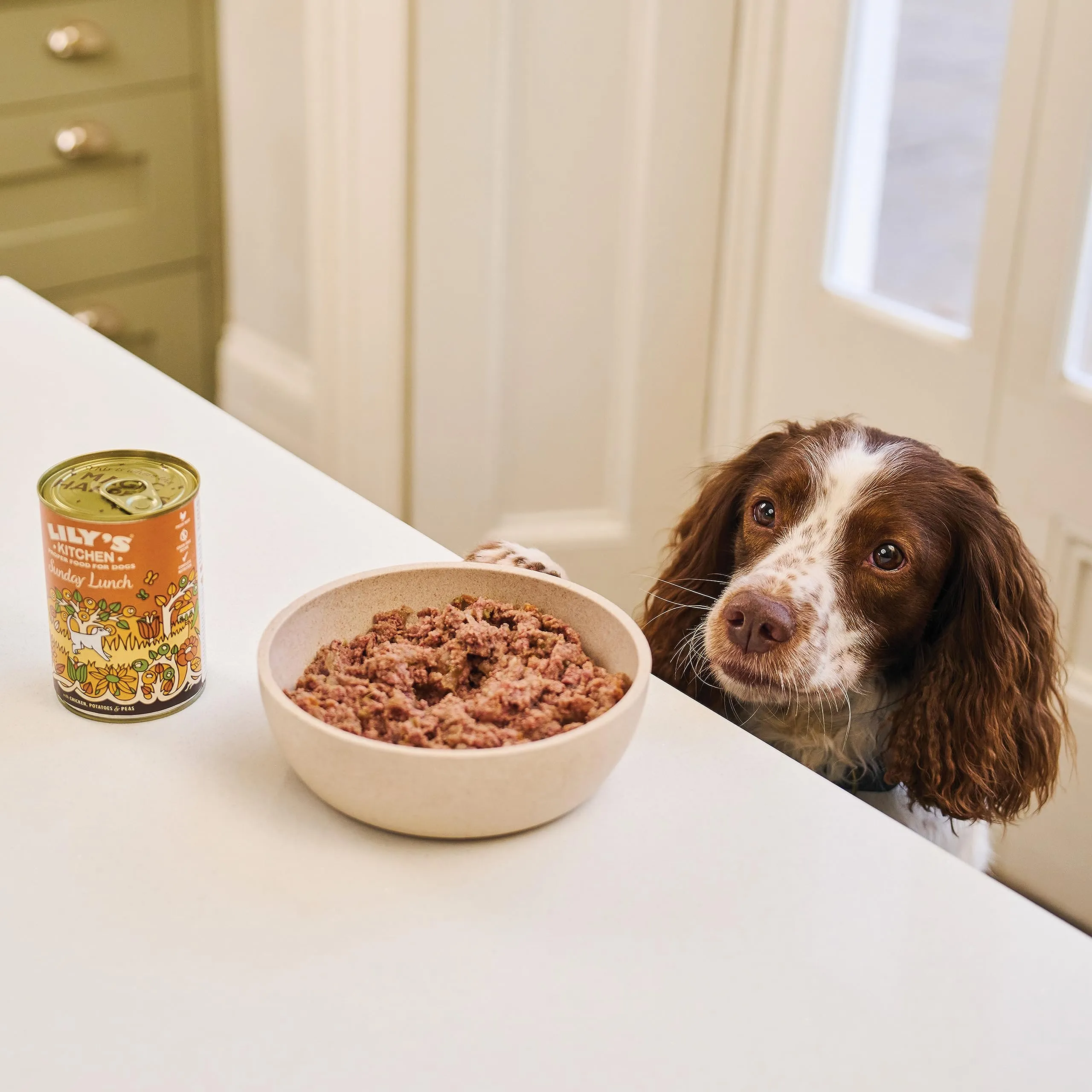 Lily's Kitchen Adult Sunday Lunch Cibo umido completo per cani (10 x 150 g) - immagine 5