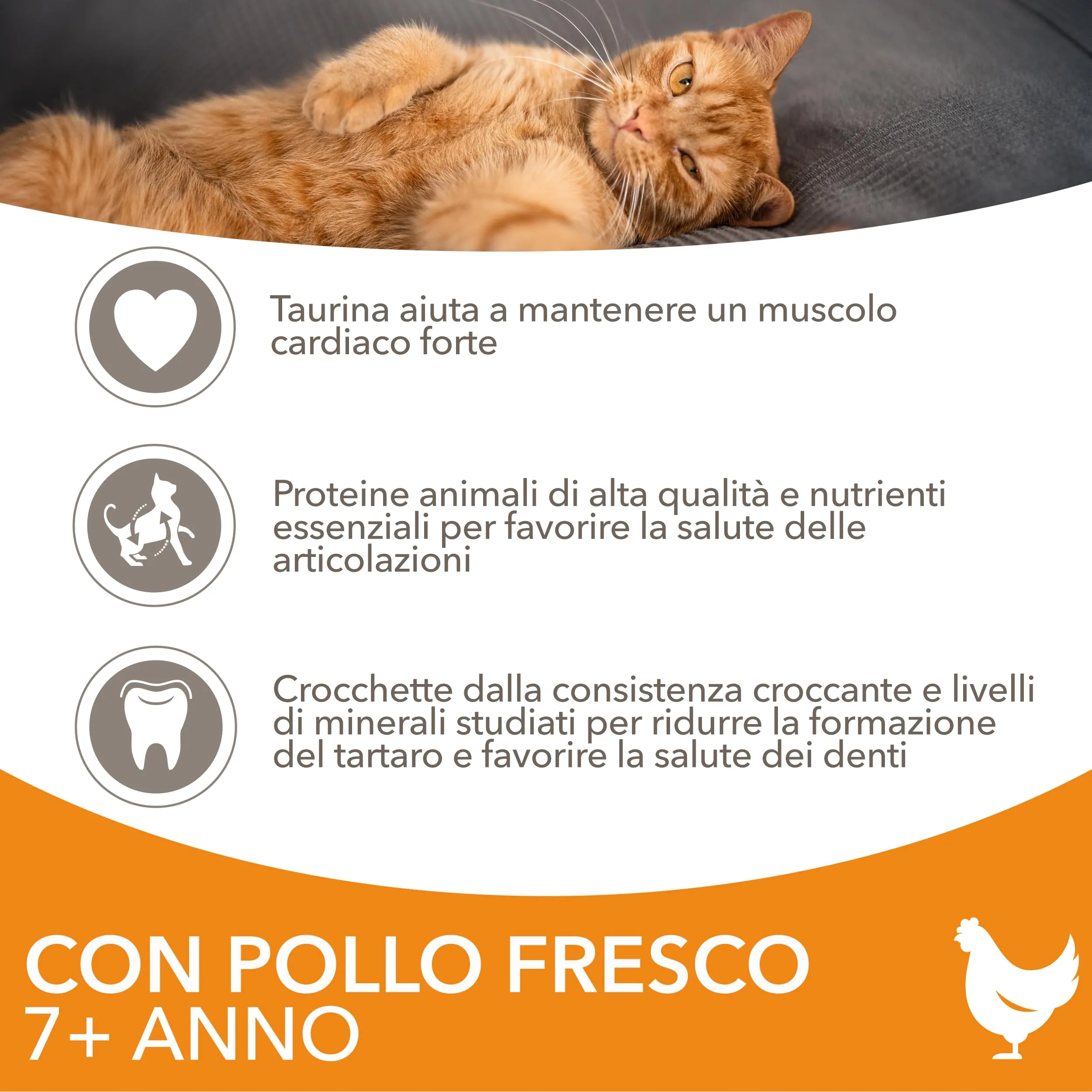 IAMS Senior - Cibo secco per gatti anziani con pollo fresco, 1,5 kg - immagine 3