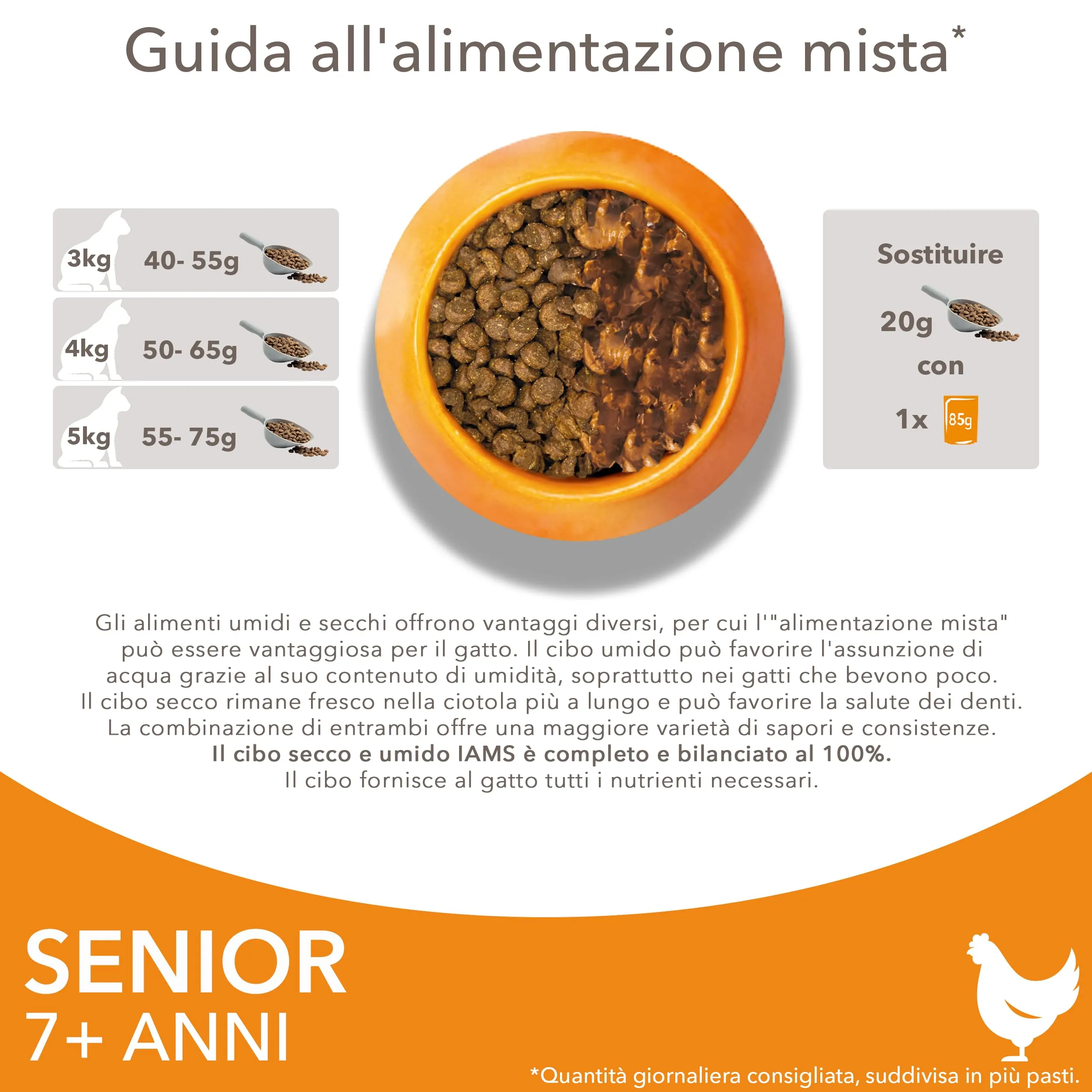 IAMS Senior - Cibo secco per gatti anziani con pollo fresco, 1,5 kg - immagine 6