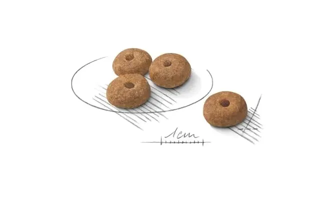 ROYAL CANIN Mini Sterilised | 1kg | Alimento completo per cani di piccola taglia | Per cani adulti e sterilizzati con tendenza all'aumento di peso | Cibo secco - immagine 3