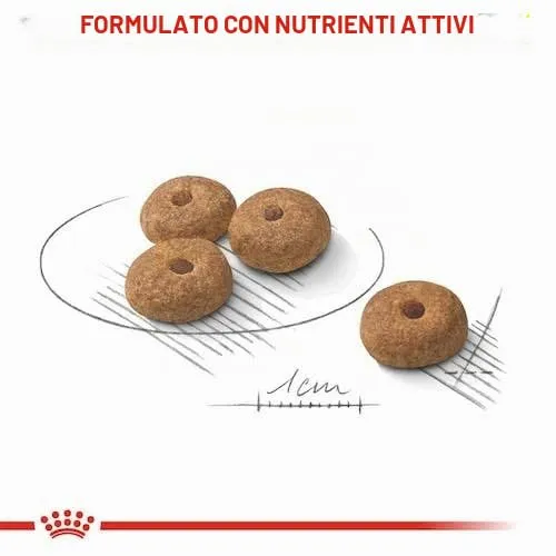 ROYAL CANIN Mini Sterilised | 1kg | Alimento completo per cani di piccola taglia | Per cani adulti e sterilizzati con tendenza all'aumento di peso | Cibo secco - immagine 8