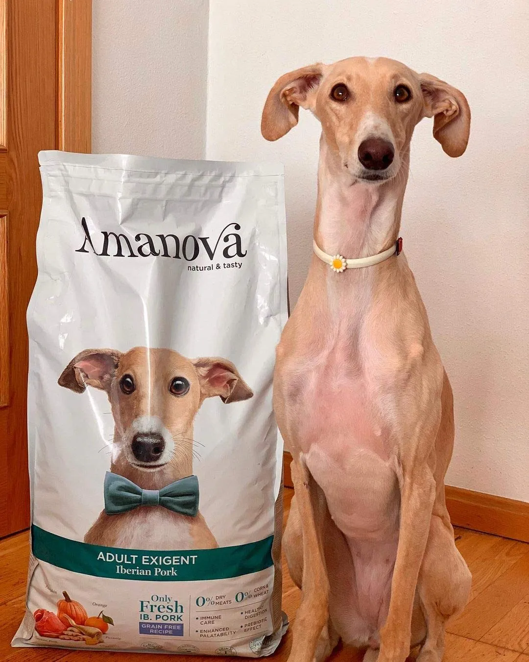 Amanova Cibo Secco per Cani Adulti di Taglia Media o Grande per palati esigenti Gusto Maiale - 100% Naturale, ipoallergenico e monoproteico - Grain Free - Cruelty Free - Formato da 10 kg - immagine 6