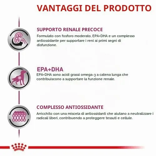 Royal Canin Veterinary Early Renal | 12 x 100 g | Alimento dietetico completo per cani adulti | Per sostenere la funzione renale | Con gustosi pezzi in salsa - immagine 6