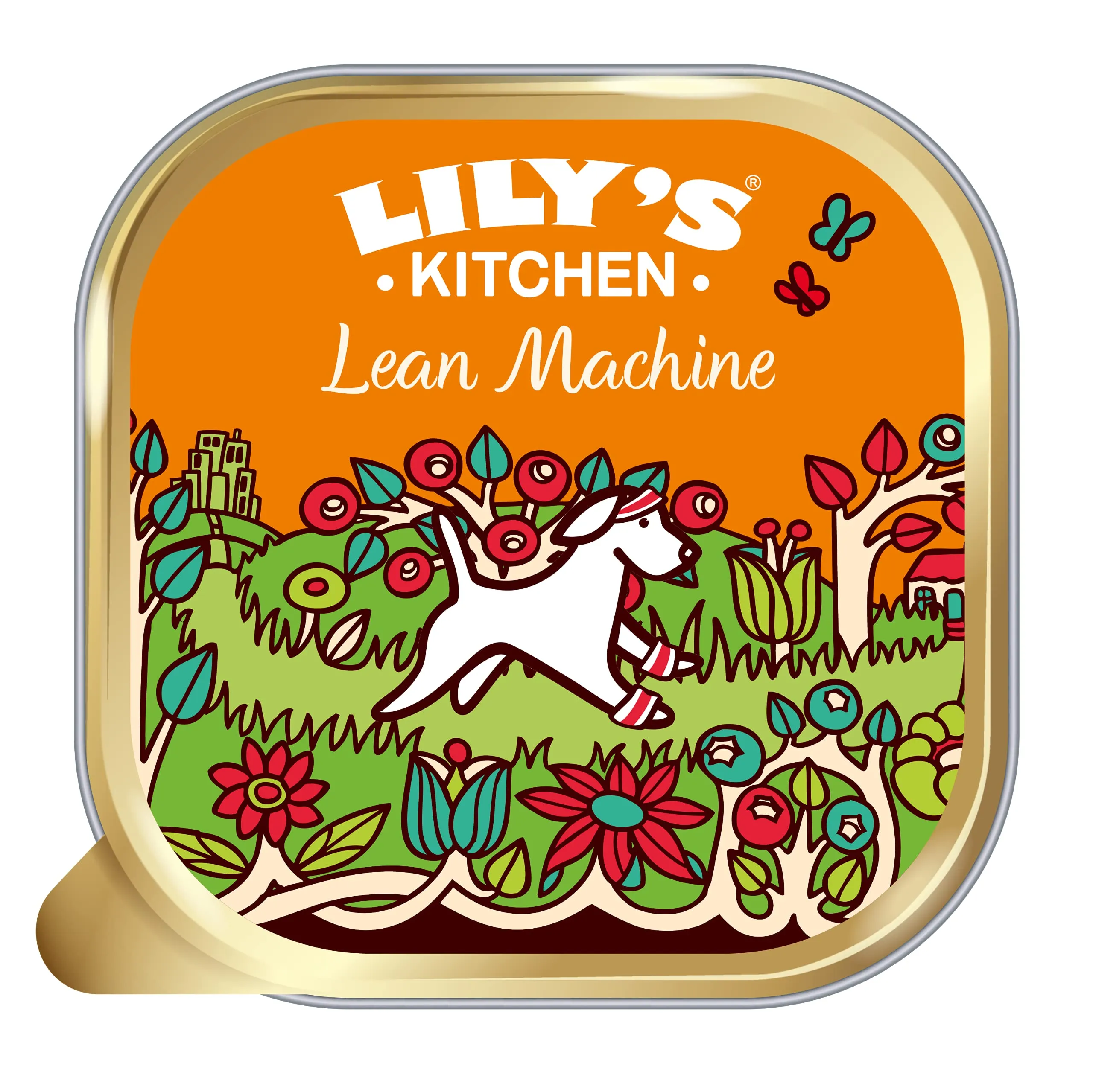 Lily's Kitchen Lean Machine Turkey & Squash - Cibo umido naturale completo per cani adulti (10 vassoi da 150 g) - immagine 1