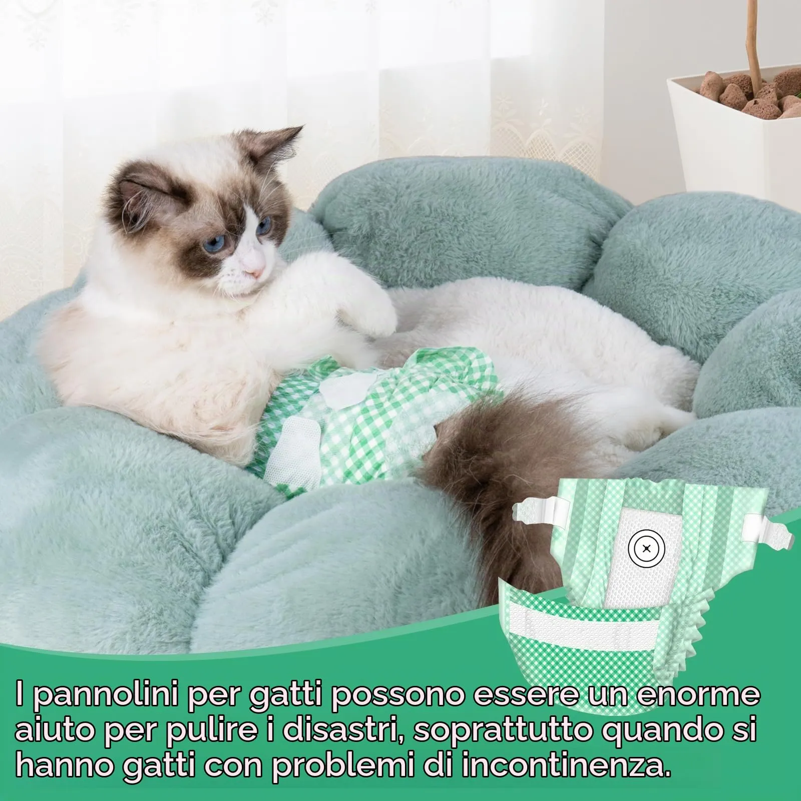MICOOYO Pannolini usa e getta per cuccioli e gatti, pannolini per animali domestici super assorbenti per gatti e cani di piccola taglia, mutandine pannolino usa e getta per gatti femmine in calore (S - immagine 7