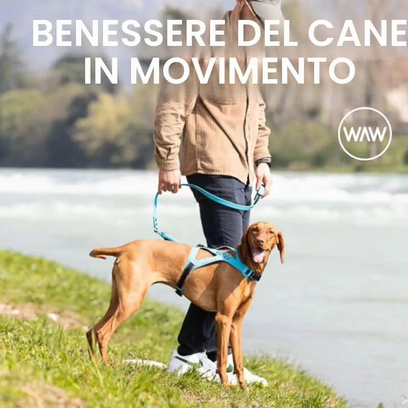 WAW, Smorzatore Antishock per Guinzaglio Cani, per Cani da 1 a 50 kg, Taglia XL, Blu Indaco/Nero, Linea F-Black - immagine 8