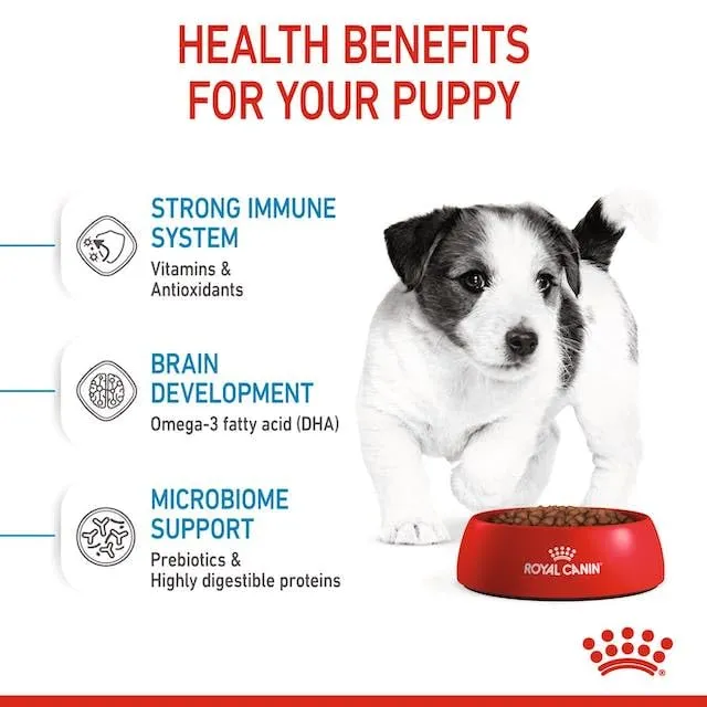 Puppy Mini | Crocchette per cani | 2 x 800 g | Per cuccioli fino a 10 kg - immagine 8