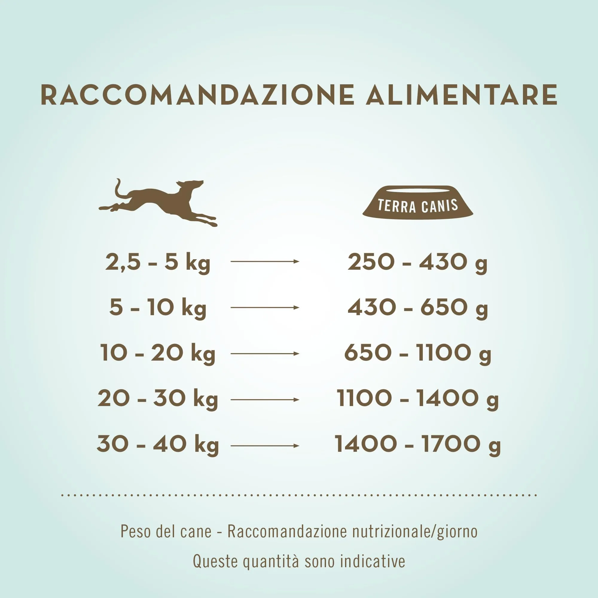 Terra Canis Agnello con zucca, cibo senza cereali per cani, 12x800g - immagine 4