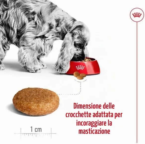 royal canin medium adult kg 12 - immagine 3