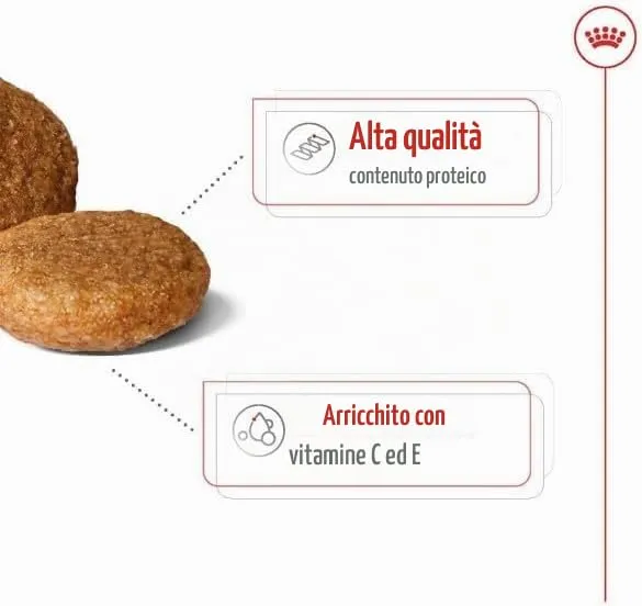 royal canin medium adult kg 12 - immagine 4