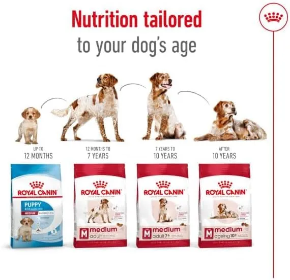 royal canin medium adult kg 12 - immagine 7
