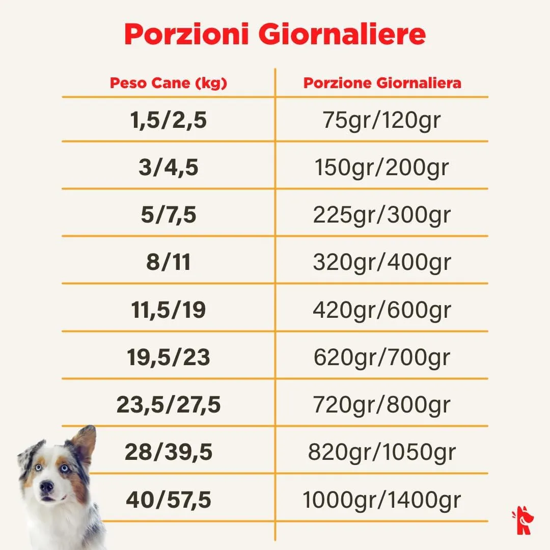 Cibo per cani al manzo naturale,7 buste x 400g, monoproteico e senza cereali e conservanti, pappa fresca casalinga, Made in Italy, adatto a tutte le razze e taglie - immagine 5