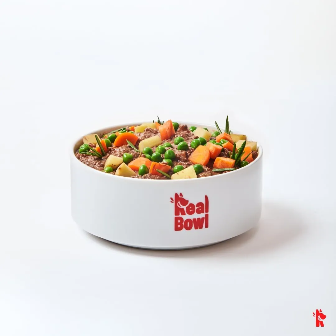 Cibo per cani al manzo naturale,7 buste x 700g, monoproteico e senza cereali e conservanti, pappa fresca casalinga, Made in Italy, adatto a tutte le razze e taglie - immagine 2