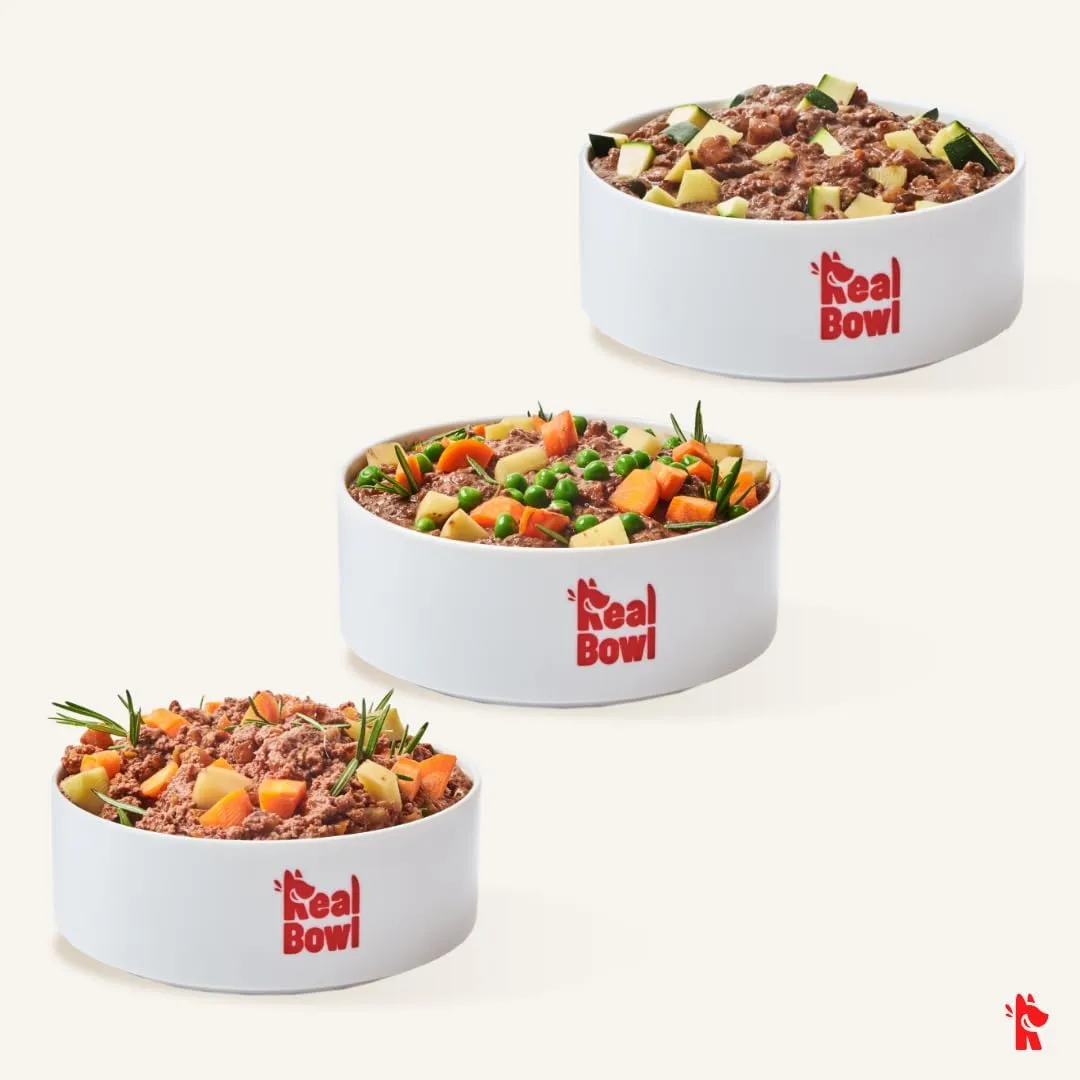 Cibo per cani al manzo, pollo e pesce naturale, 14 buste x 700g, monoproteico e senza cereali e conservanti, pappa fresca casalinga, Made in Italy, adatto a tutte le razze e taglie - immagine 2