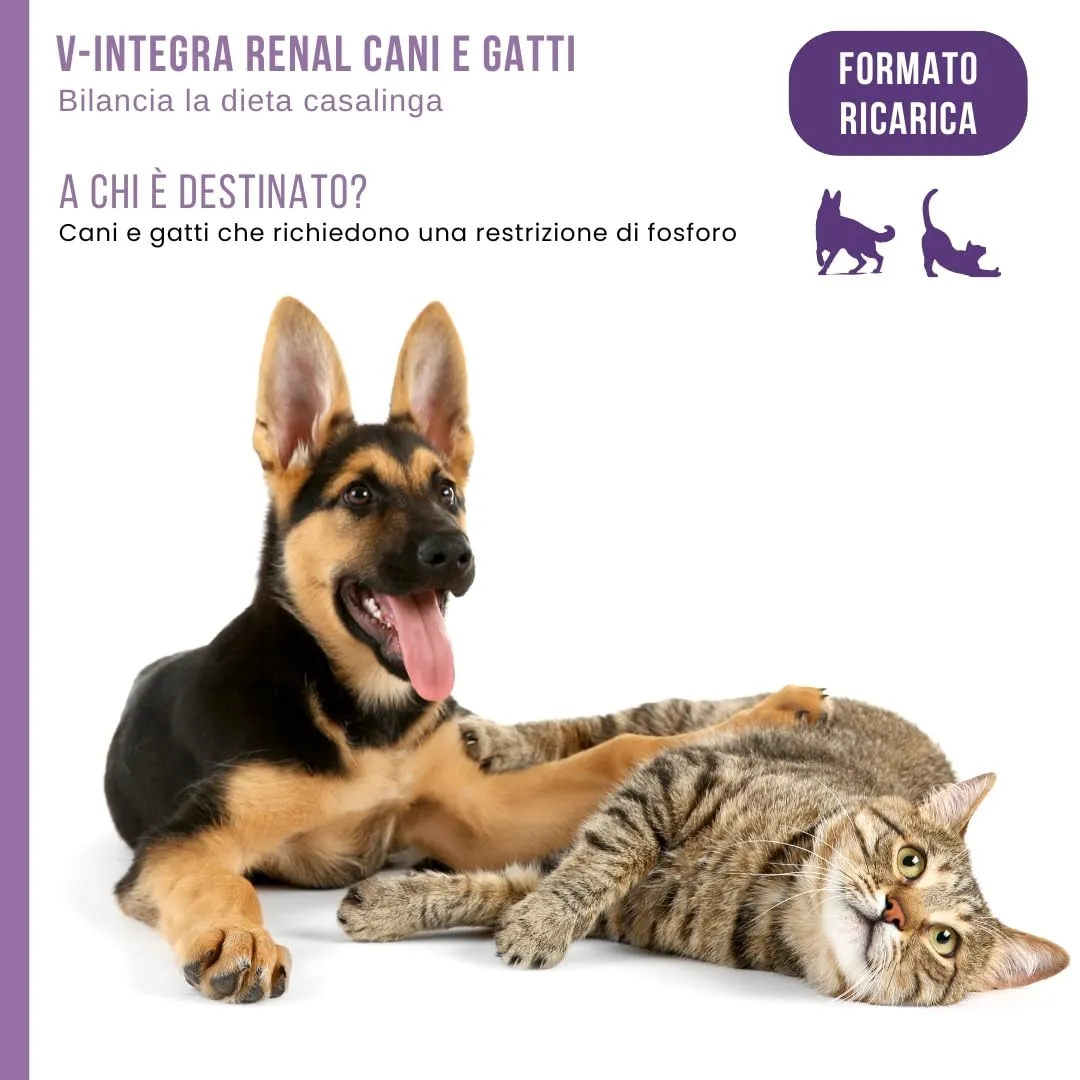 V-INTEGRA Renal 1kg ECO RICARICA, Integratore Vitamine e Minerali per Bilanciare Diete Casalinghe di Cani e Gatti che Richiedono una Restrizione di Fosforo, Multivitaminico Cane e Gatto Made in Italy - immagine 3