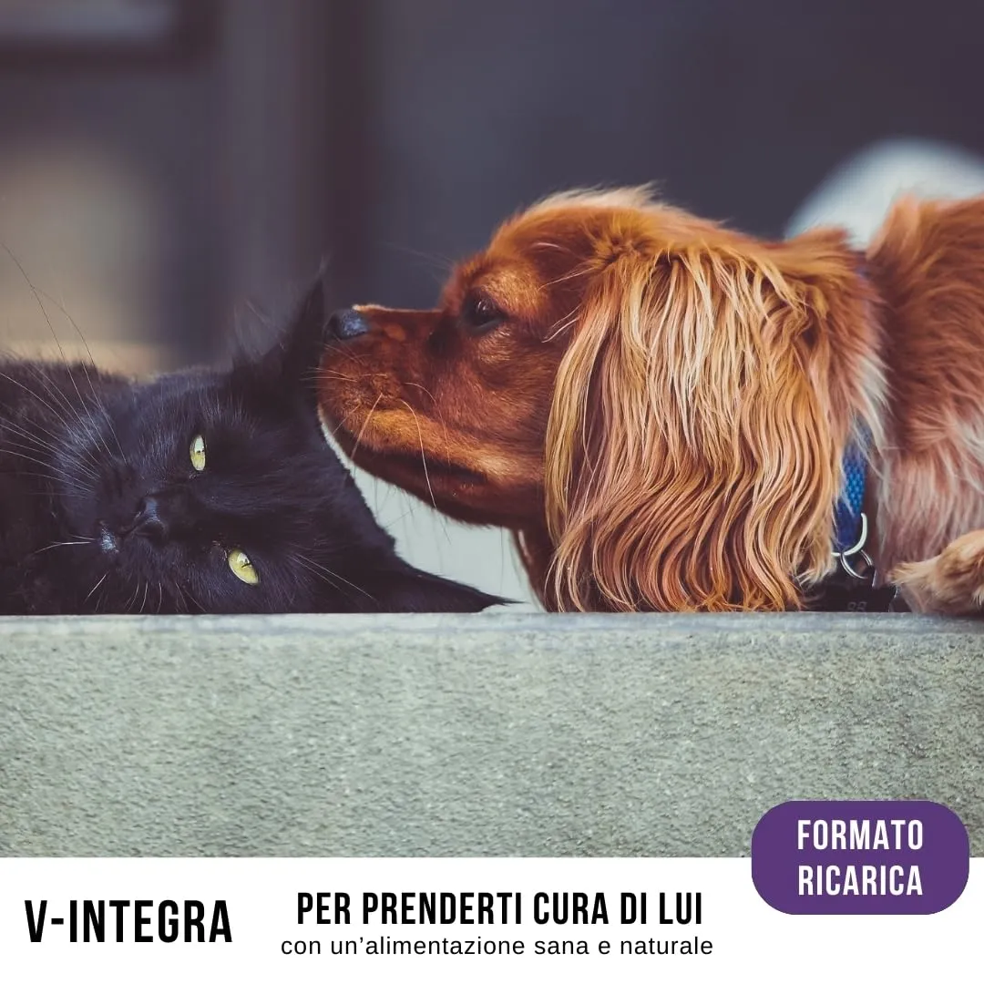 V-INTEGRA Renal 1kg ECO RICARICA, Integratore Vitamine e Minerali per Bilanciare Diete Casalinghe di Cani e Gatti che Richiedono una Restrizione di Fosforo, Multivitaminico Cane e Gatto Made in Italy - immagine 7