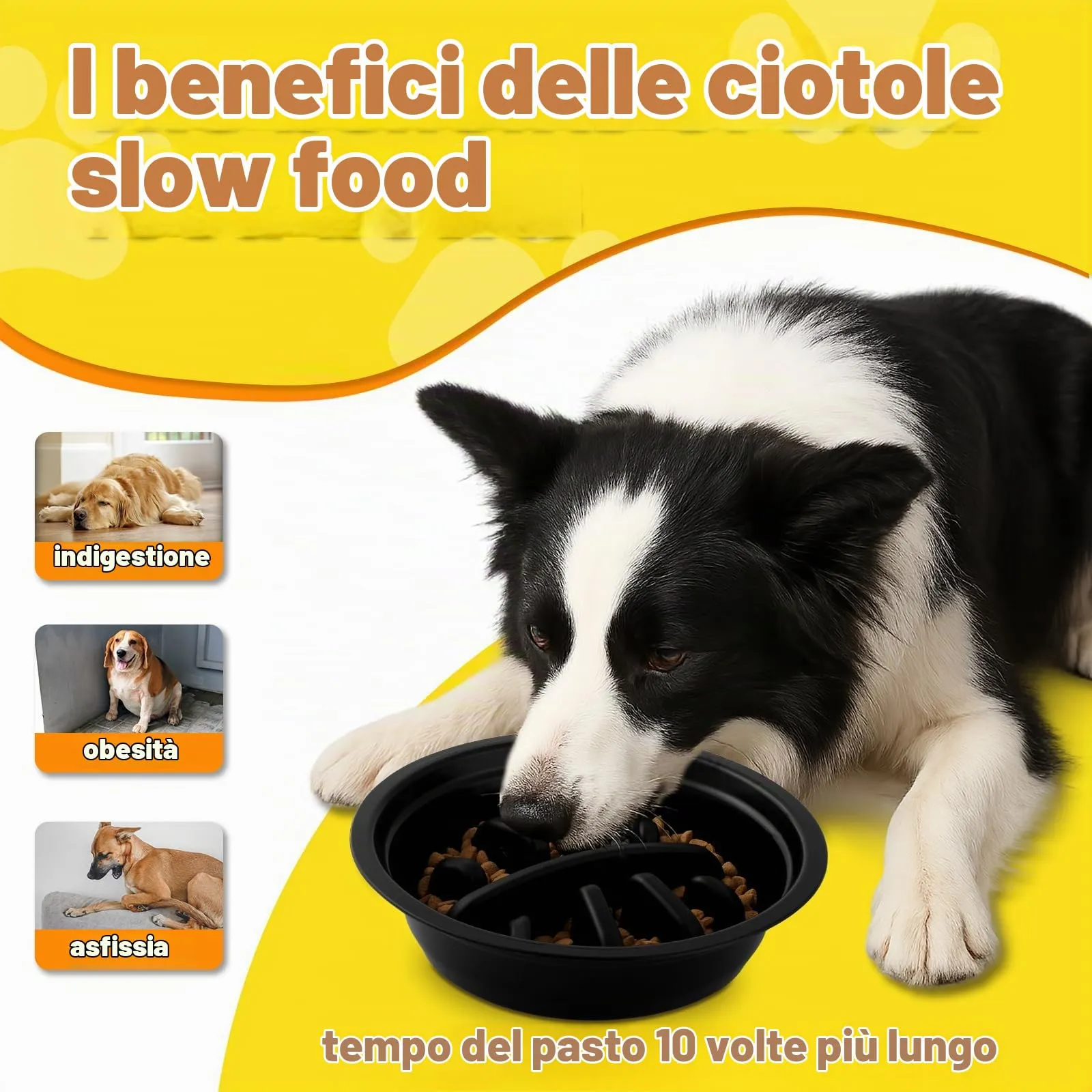 Ciotole per cani Rialzate Regolabili - 2 Ciotole in Acciaio Inox (1200ml) + 1 Ciotola anti-ingozzo (800ml) - Base antiscivolo per cani di taglia media/grande - immagine 4