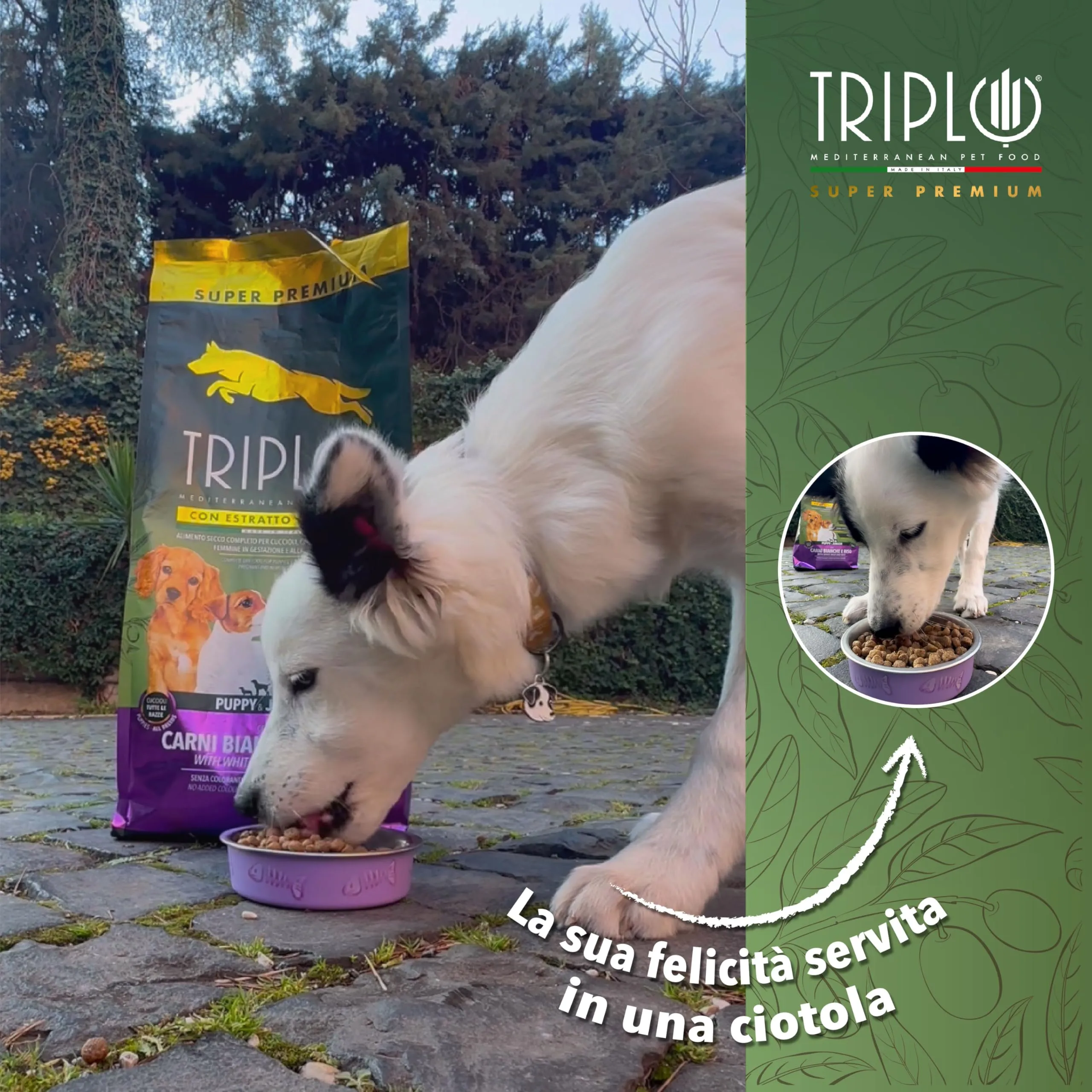 TerComposti - Triplo Pet Food Agnello e Riso 3kg x4, Ideale per Adulti di Tutte le Razze e Pelo Lucido e Folto, Crocchette Cani con Estratto di Olivo, Cibo per Cani Secco Nutriente e Bilanciato - immagine 3