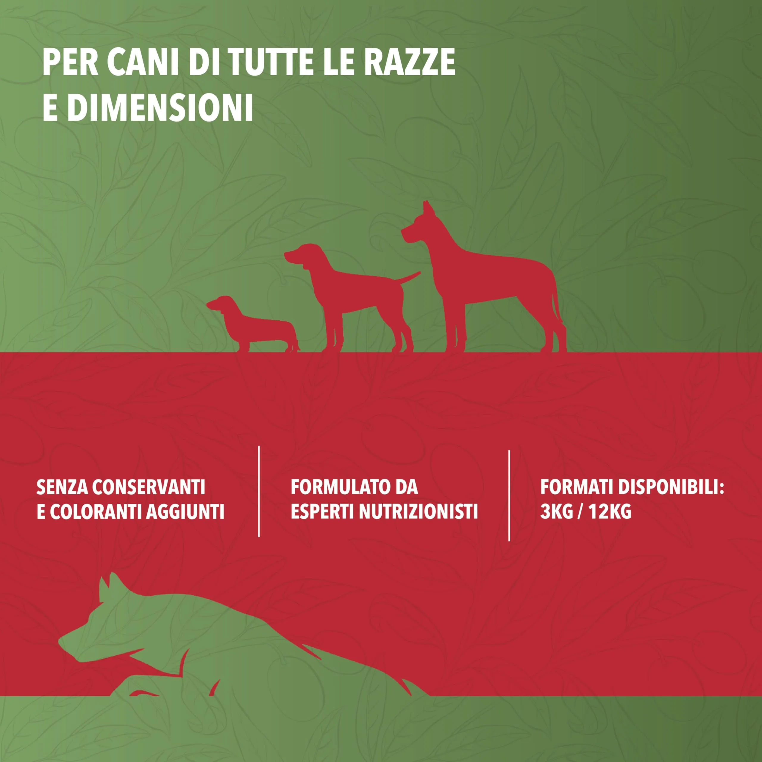 TerComposti - Triplo Pet Food Manzo e Riso 12kg, Ideale per Adulti di Tutte le Razze, Pelo Lucido e Folto, Crocchette Cani con Estratto di Olivo, Cibo per Cani Secco Nutriente e Bilanciato - immagine 4