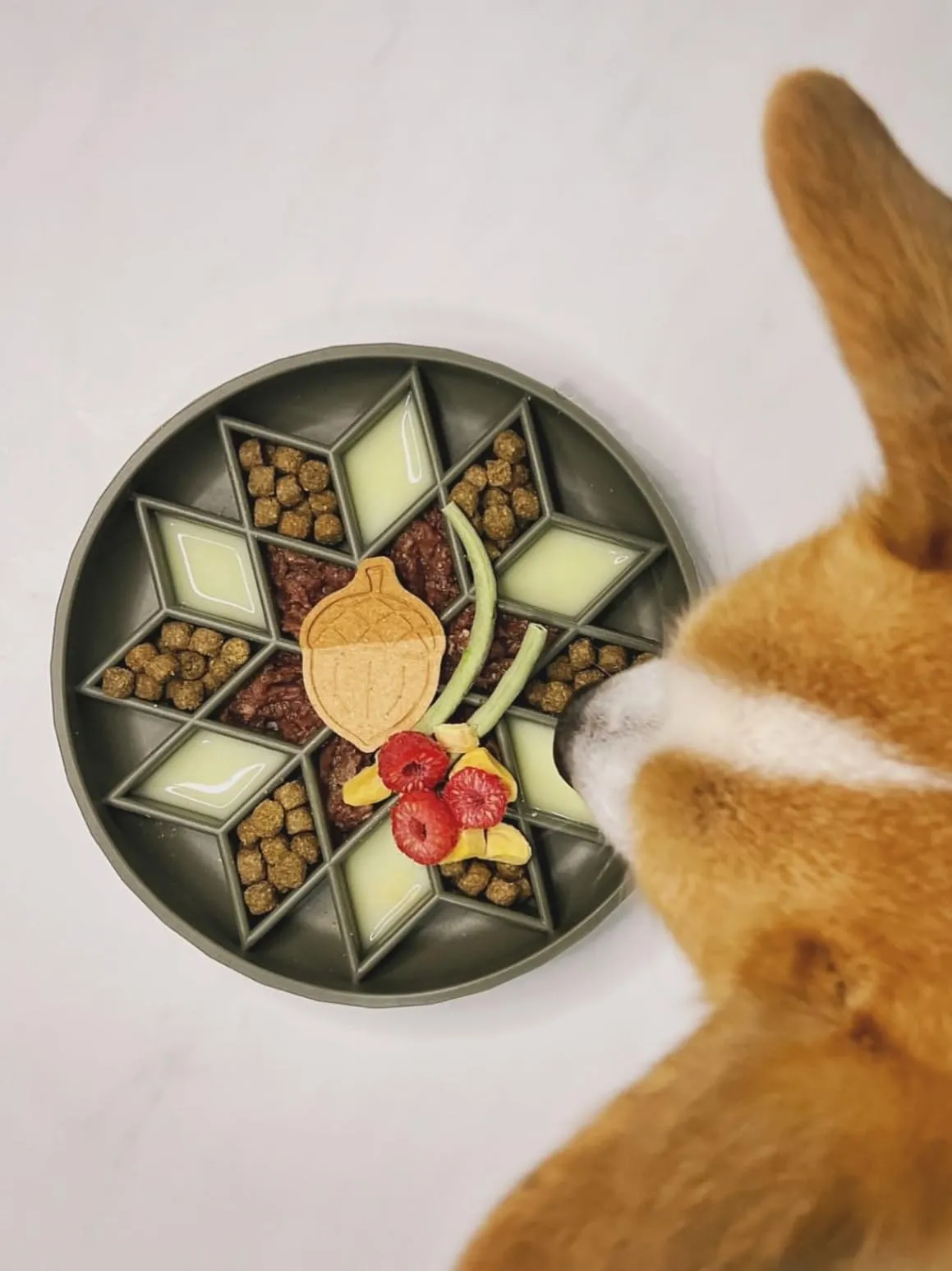 OHMO Ciotola Anti Ingozzamento per Gatti e Cani, Ciotola in Silicone con Ventosa Antiscivolo, Riduci la Velocità di Alimentazione e Previeni l'Ingozzamento - immagine 5