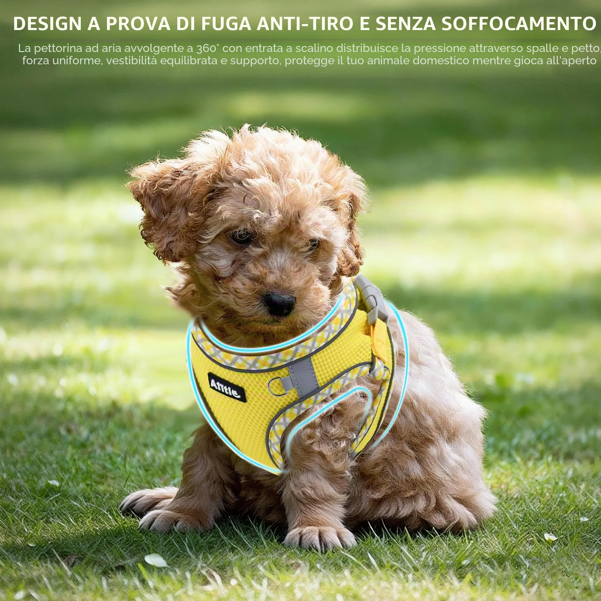AIITLE Pettorina per cani anti-fuga, gilet anti-tiro con guinzaglio, strisce riflettenti, imbracature regolabili per animali domestici all'aperto per cani di taglia media, Giallo M - immagine 6