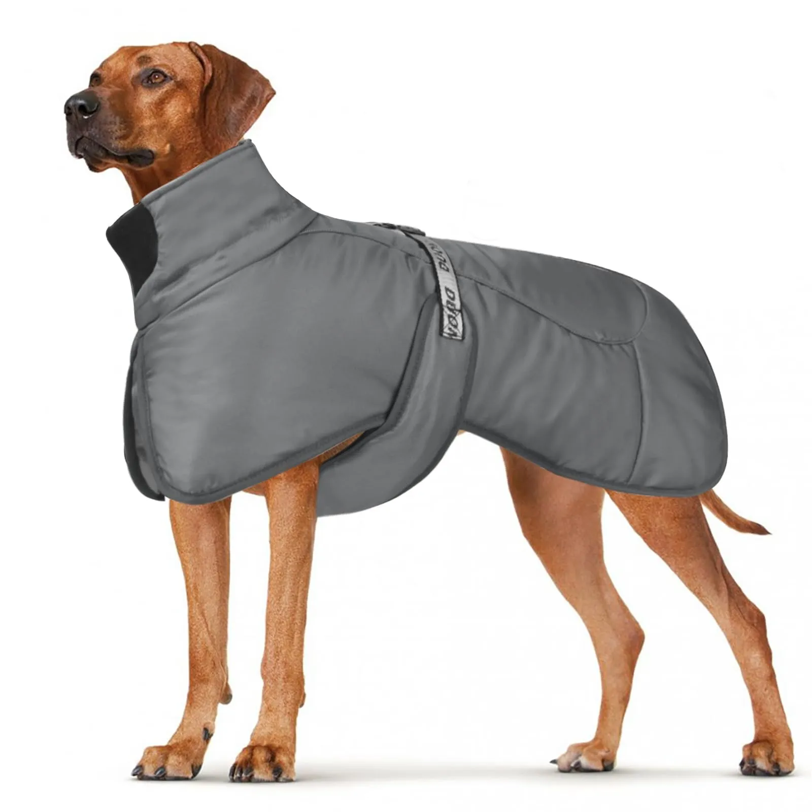 DoggieKit Cappotti per Cani Impermeabile Antivento Caldo Inverno Sicuro Strisce Riflettenti Filettate Giacca per Cani di Taglia Media con Foro per imbracatura Cucciolo Pet Freddo Vestito Vestiti Gilet - immagine 1
