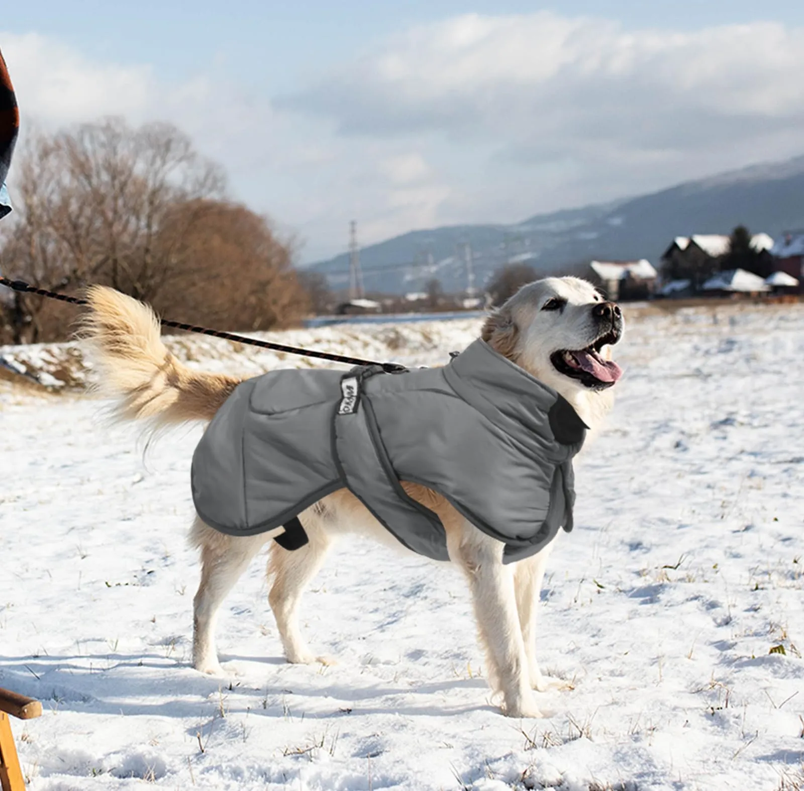 DoggieKit Cappotti per Cani Impermeabile Antivento Caldo Inverno Sicuro Strisce Riflettenti Filettate Giacca per Cani di Taglia Media con Foro per imbracatura Cucciolo Pet Freddo Vestito Vestiti Gilet - immagine 8