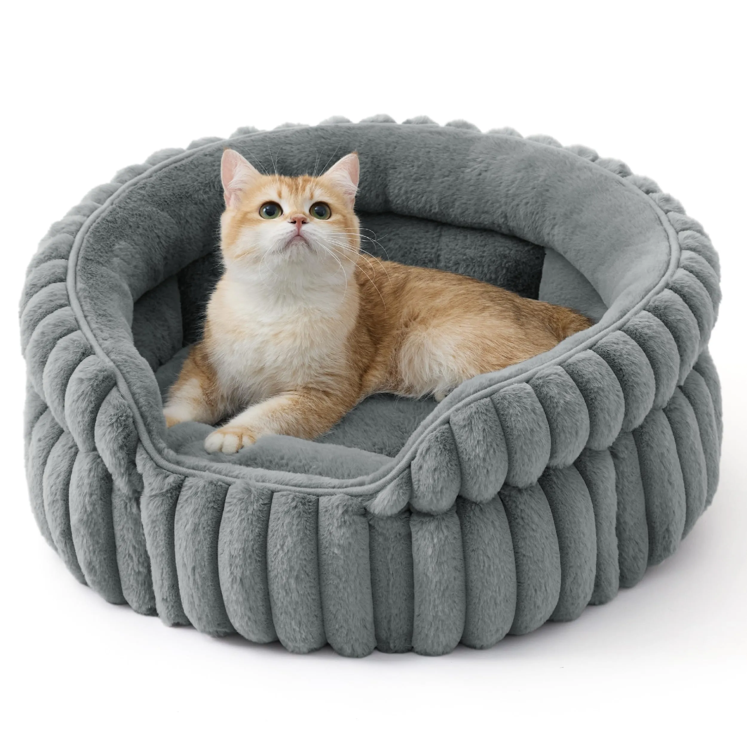 Bedsure Cuccia Gatto Cucciolo Lavabile Velluto a Coste Pile, 51x51cm - immagine 1