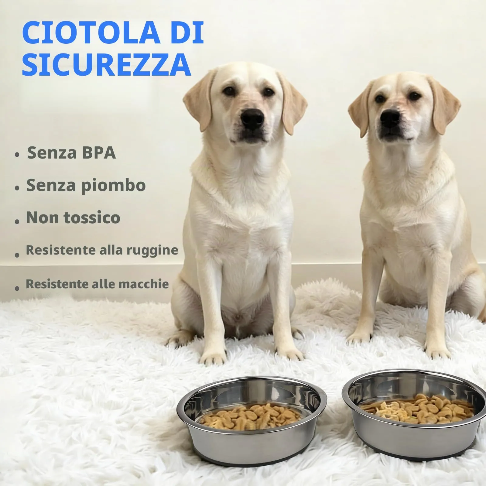 LUMITERRA 2 Pack Ciotole per Cani in Acciaio Inox, Lotole con Base in Gomma Antiscivolo, Facile da pulire, Ciotola per cani di piccola, media e grande tagliae, Può contenere acqua e cibo. - immagine 3
