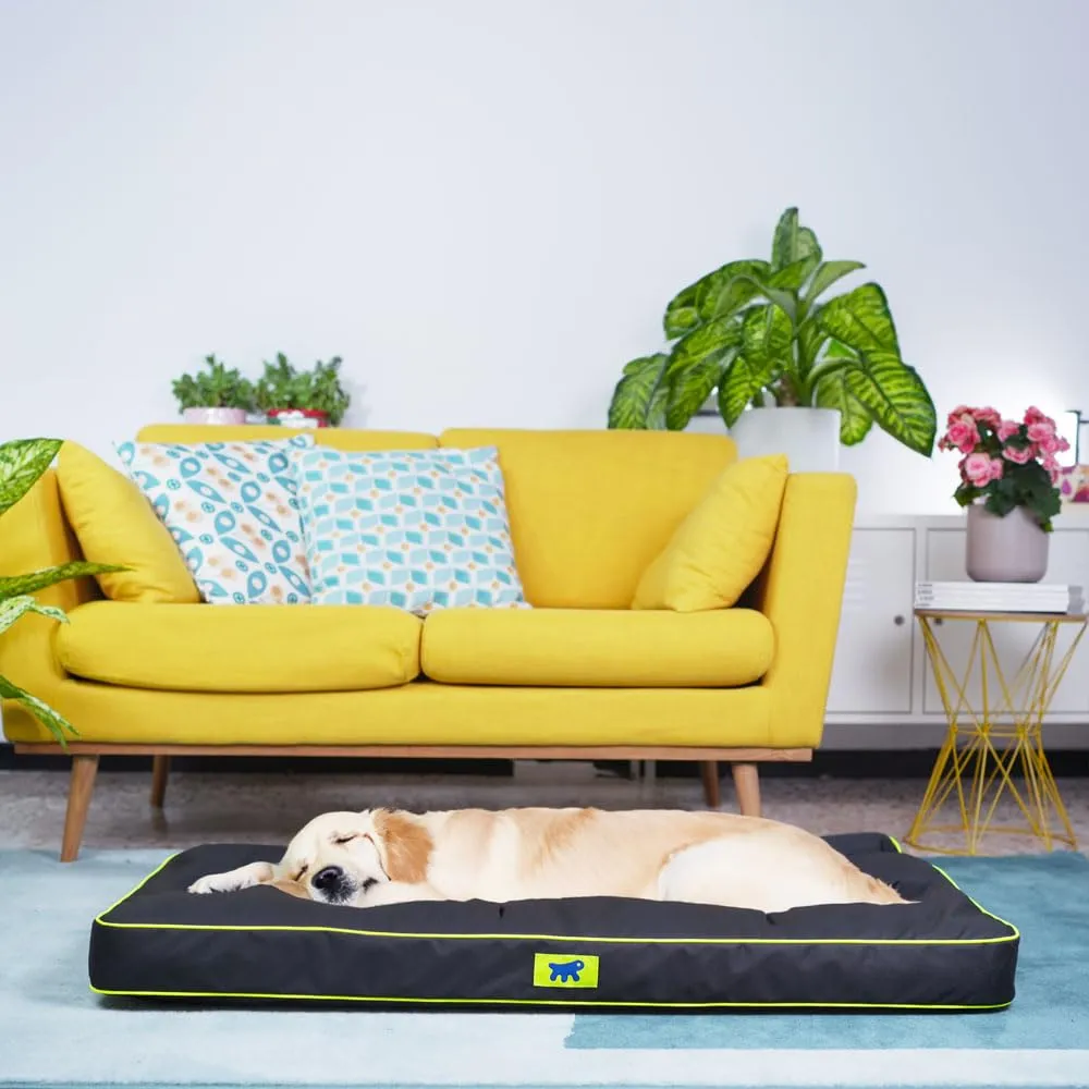 Ferplast Cuccia Ortopedica per Cani Extra Large Materassino per Cani Impermeabile e Antigraffio Cuccia Morbida Polo, 110 x 70 x h 8 CM, NERA - immagine 3
