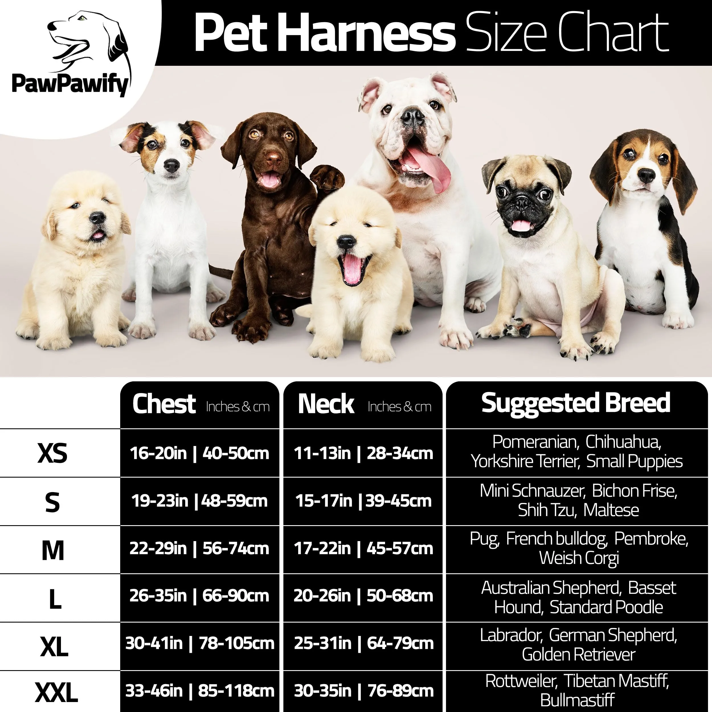 PawPawify, Pettorina per cani antitiro robusta, per evitare strattoni, tirate o soffocamento, per addestramento e passeggiate, personalizzabile con nome e numero di telefono, XXL, petto 83,8-116,84 cm - immagine 5