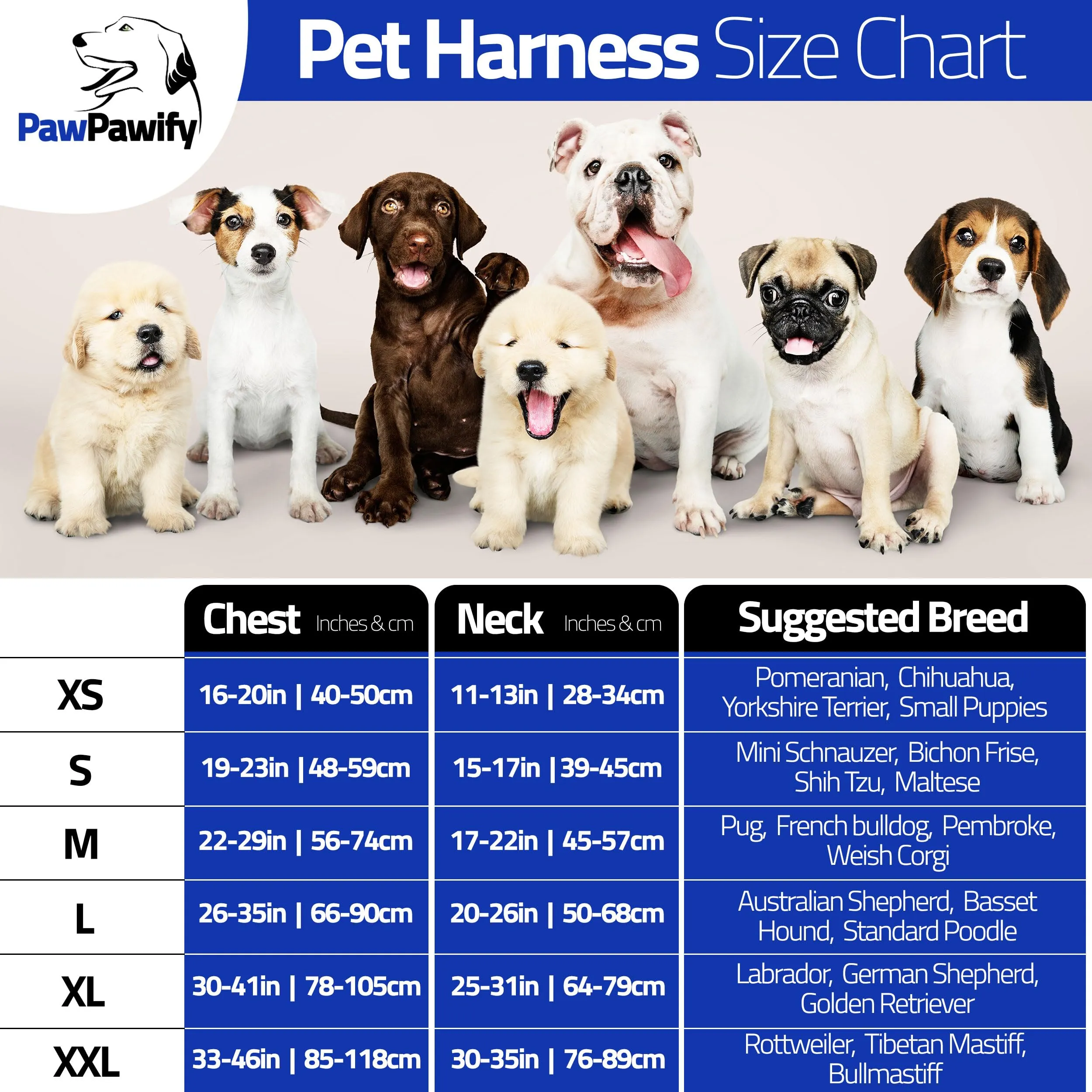 PawPawify, pettorina per cani con nome personalizzato e numero di telefono per animali domestici resistente per prevenire tiraggi, tirare, soffocare, allenare e camminare - immagine 5