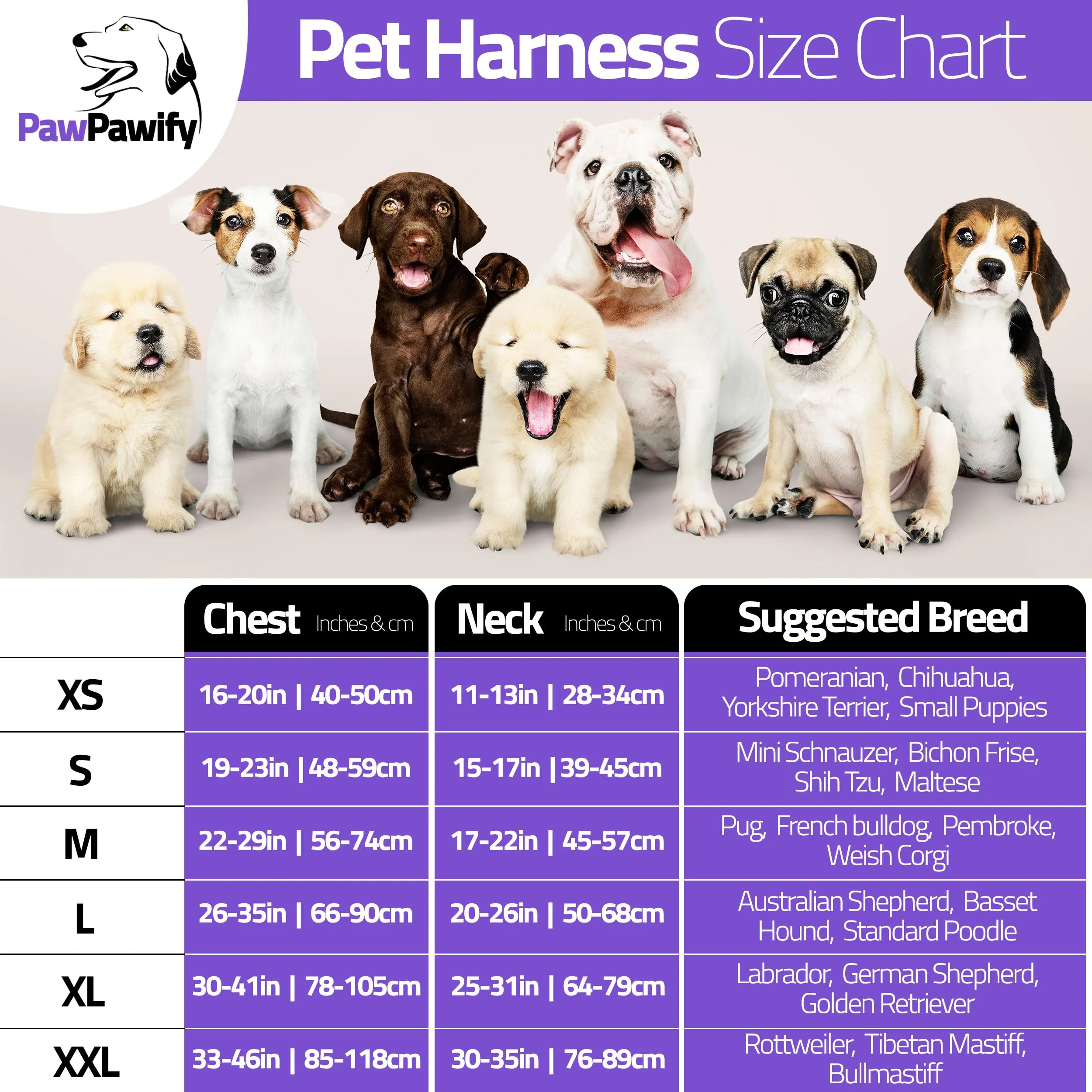 PawPawify, pettorina per cani con nome personalizzato e numero di telefono per animali domestici resistente per prevenire tiraggi, tirare, soffocare, allenare e camminare - immagine 5