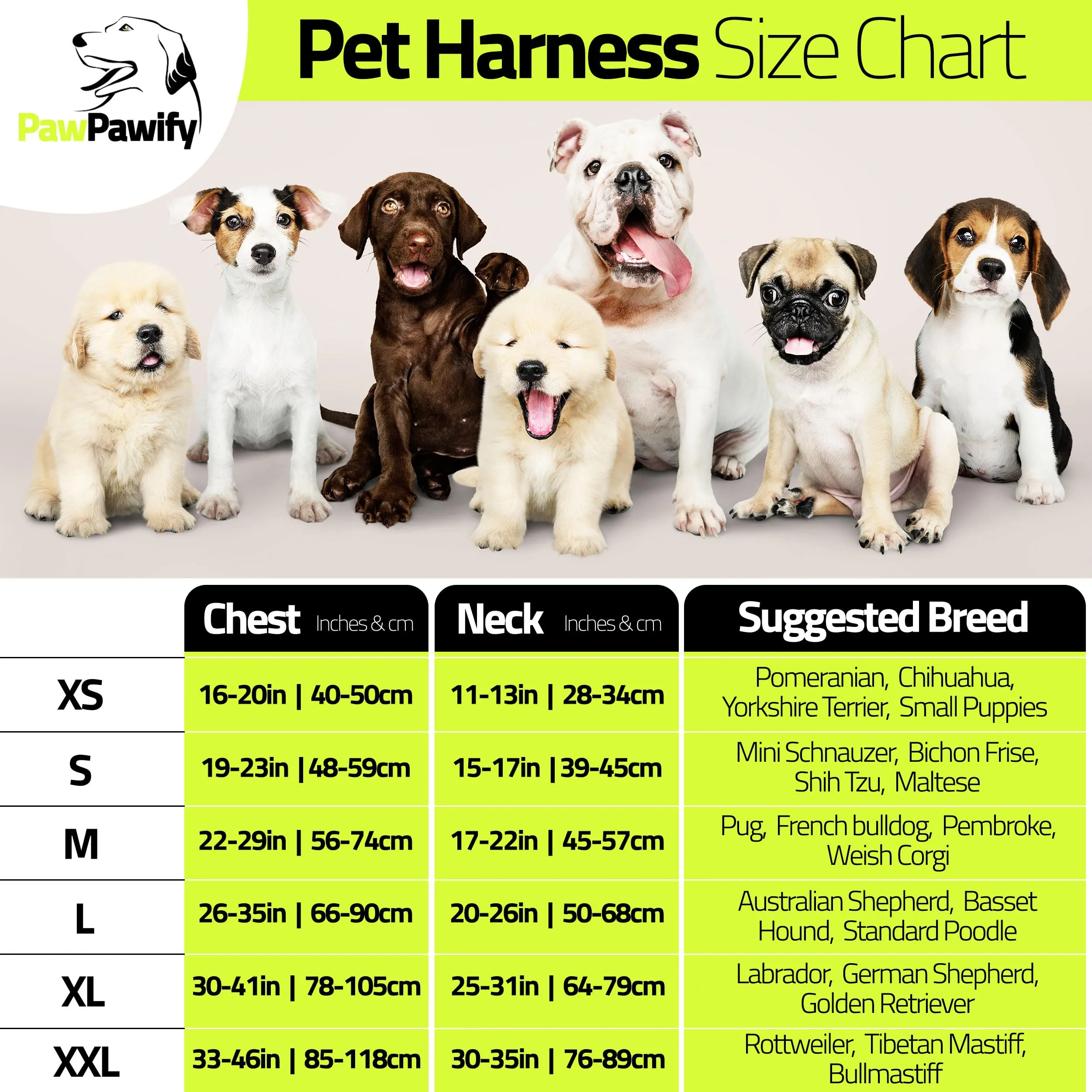 PawPawify, Pettorina antitiro per cani robusta, per evitare strattoni, tirate o soffocamento, per addestramento e passeggiate, personalizzabile con nome e numero di telefono, L, petto 71-96,5 cm - immagine 5