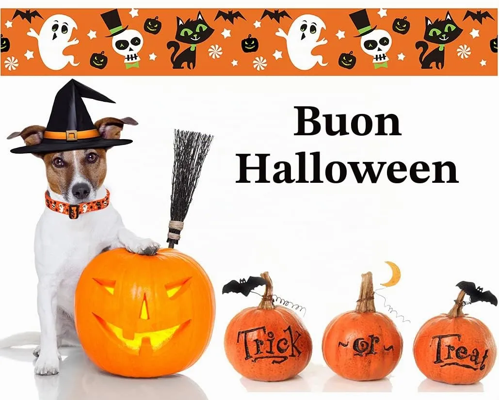 Mihqy Collare per cani di Halloween – Motivo Zucca Fantasma di Pipistrello, Regolabile Collari per Cani, Gatti, Cuccioli di Taglia Piccola Media Grande(Halloween,S) - immagine 5