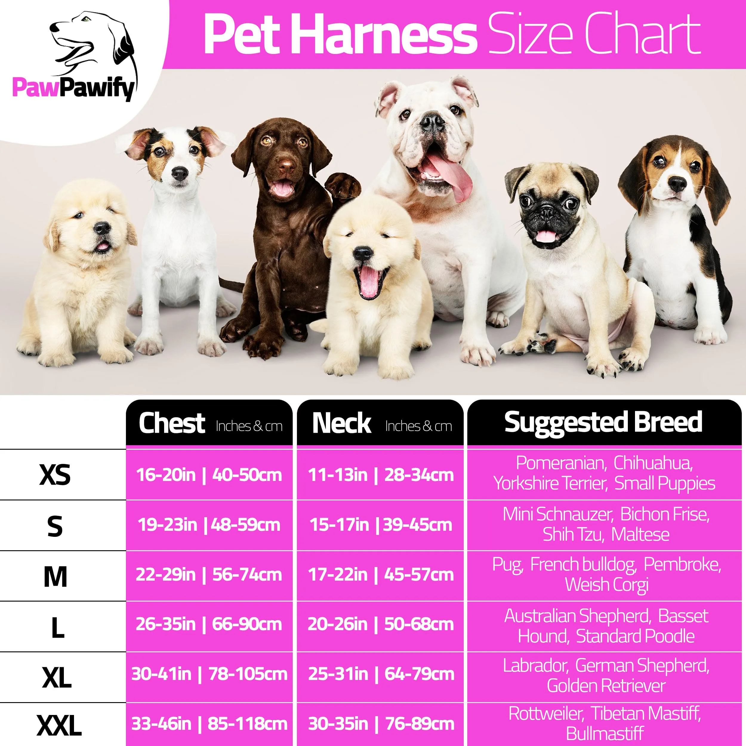 PawPawify - Imbracatura antitrazione per cani con nome e numero di telefono da personalizzare - basta strattoni o soffocamento - per addestramento e aiuto a camminare - immagine 5
