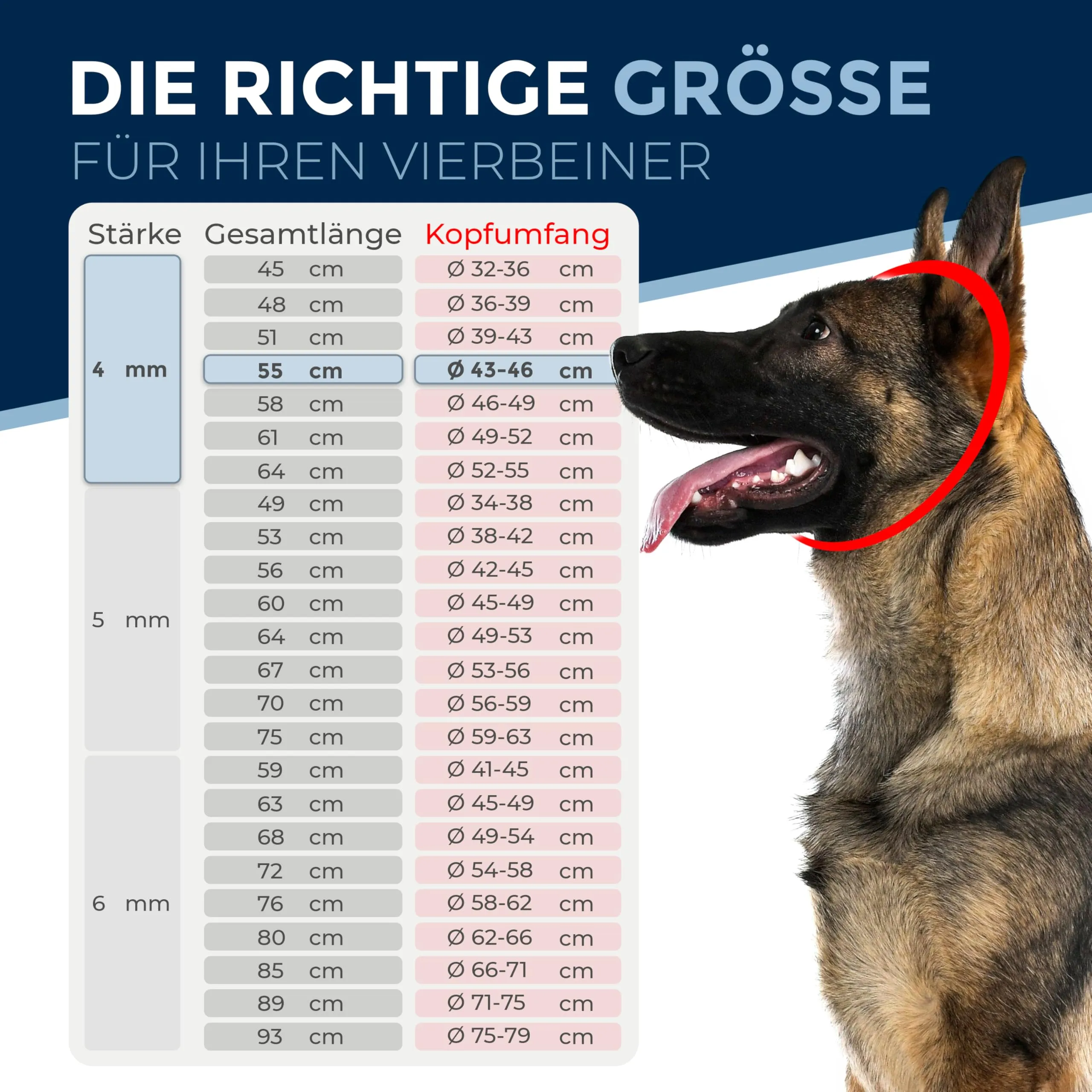 Collare addestramento cane acciaio inox V4A Ø4 mm – lunghezza 48 cm (totale) – per testa 36–39 cm – maglia lunga con limitatore di trazione - immagine 2