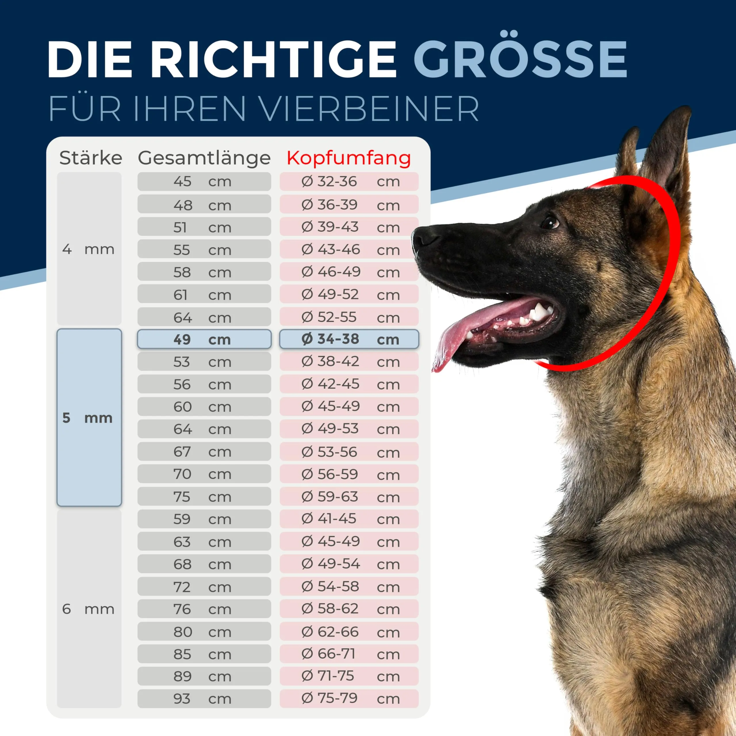 Collare addestramento cane acciaio inox V4A Ø5 mm – lunghezza 70 cm (totale) – per testa 56–59 cm – maglia lunga con limitatore di trazione - immagine 2