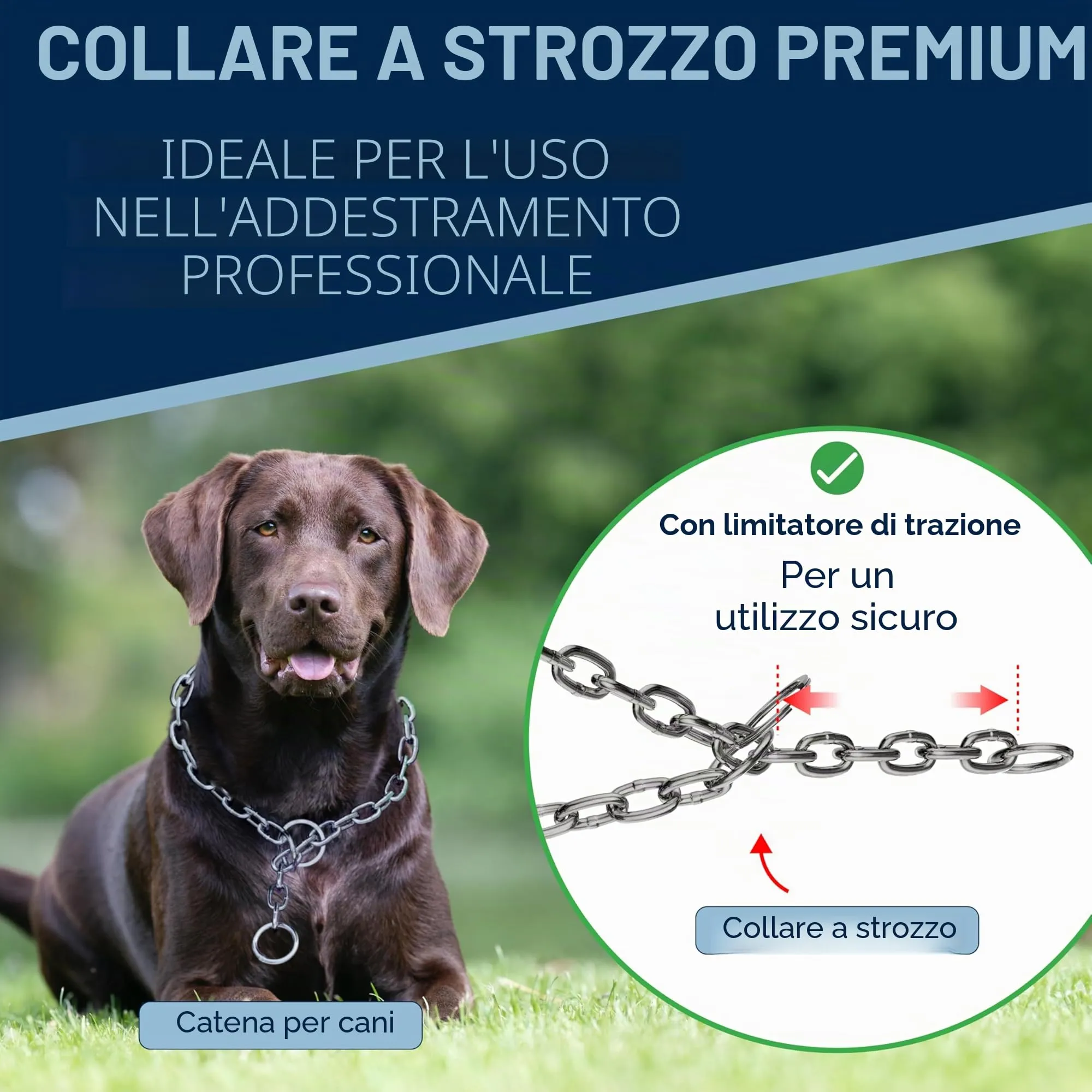 Collare addestramento cane acciaio inox V4A Ø5 mm – lunghezza 53 cm (totale) – per testa 38–42 cm – maglia lunga con limitatore di trazione - immagine 6