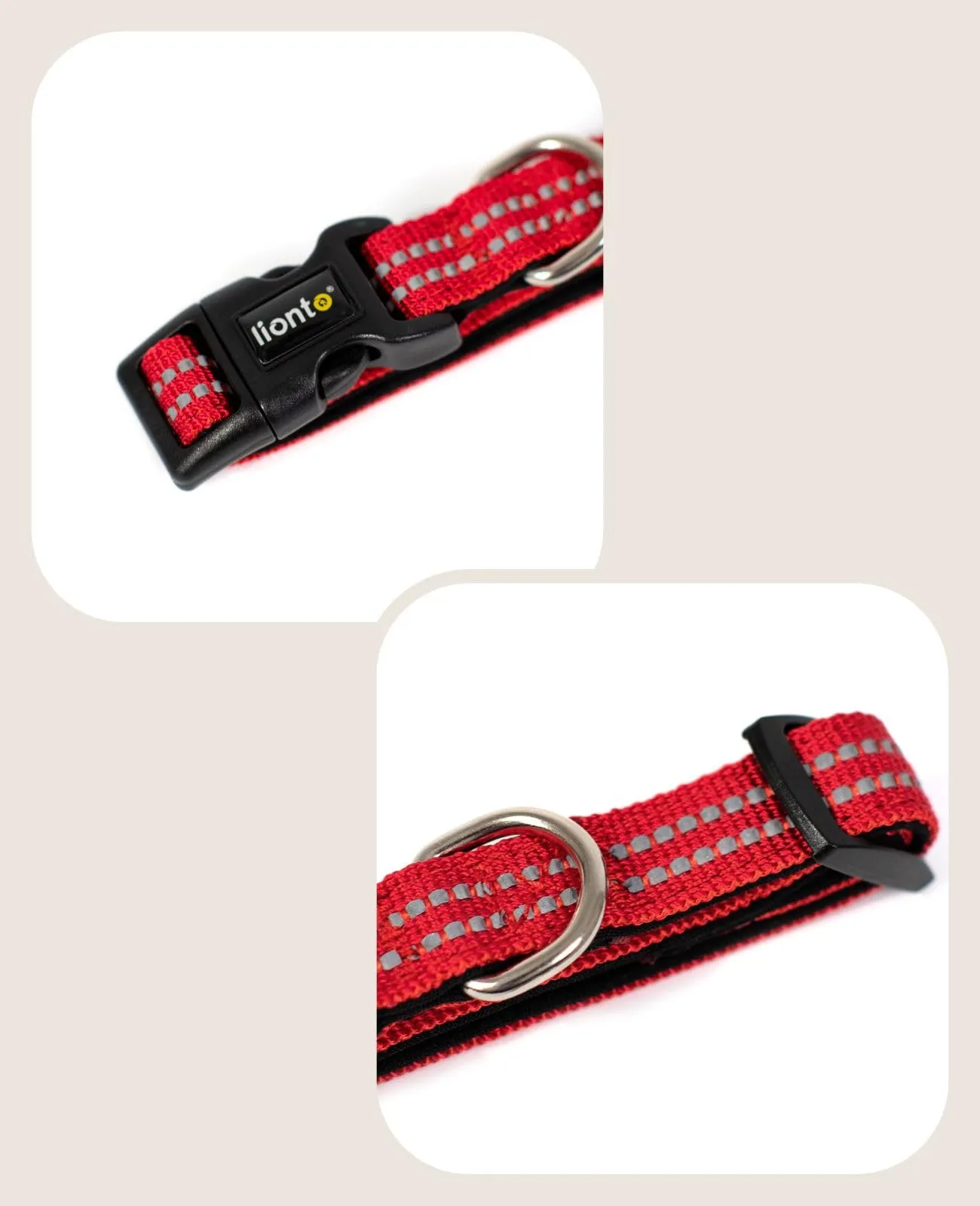 lionto Riflettente Collare Cane, Imbottita, Taglia XS, Rosso - immagine 3