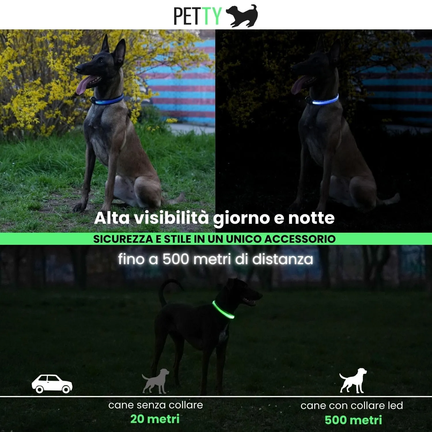 PETTY Collare Luminoso per Cani REGOLABILE LED - Collarino TRASPIRANTE RICARICABILE Usb, Chiusura Regolabile e Bottone di Sicurezza Antistrozzo - Cani Taglia Piccola Media e Grande S rosso - immagine 3