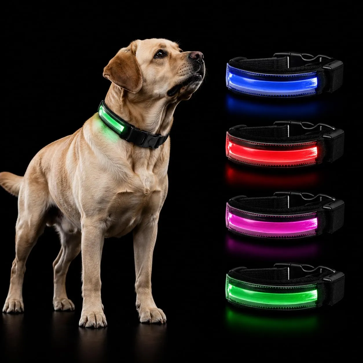 PETTY Collare Luminoso per Cani REGOLABILE LED - Collarino TRASPIRANTE RICARICABILE Usb, Chiusura Regolabile e Bottone di Sicurezza Antistrozzo - Cani Taglia Piccola Media e Grande XS Blu - immagine 1