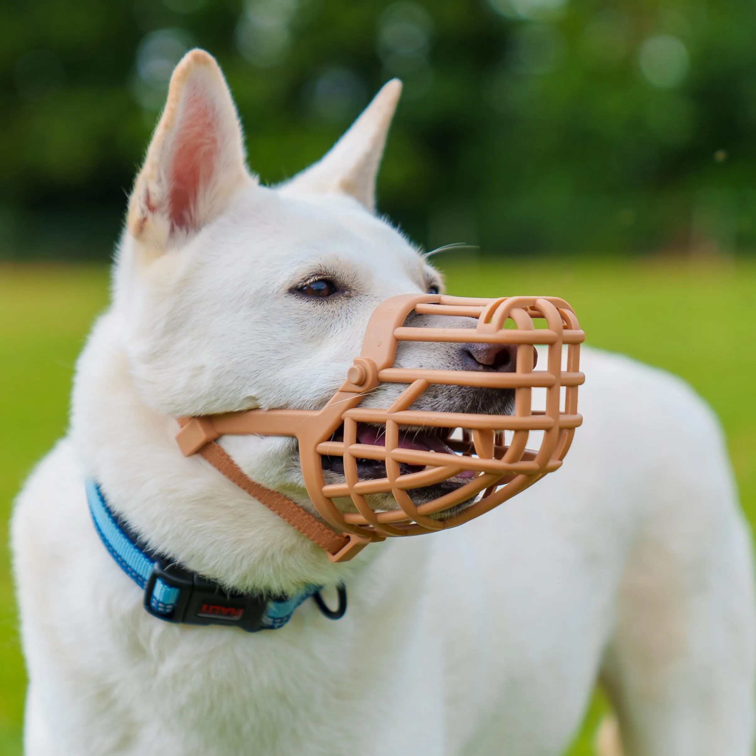 Museruola per cani Baskerville Classic Basket | Taglia 3 - immagine 2
